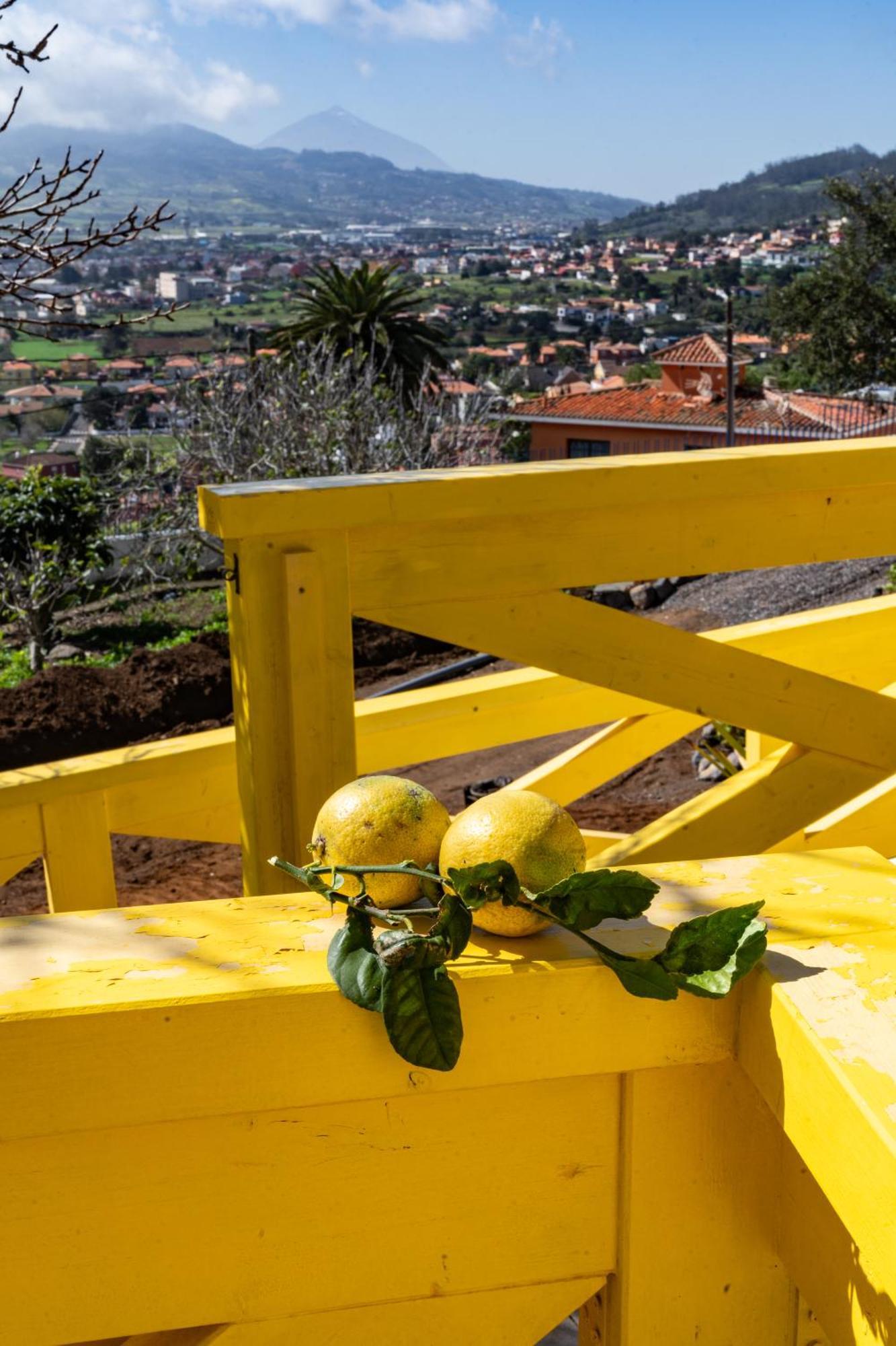 Casa De Limon *