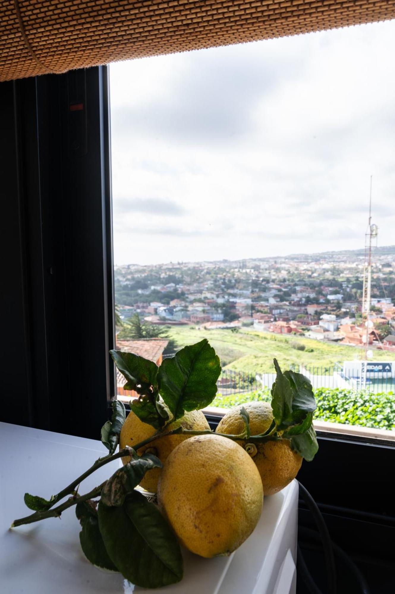 Casa De Limon Hébergement de vacances *