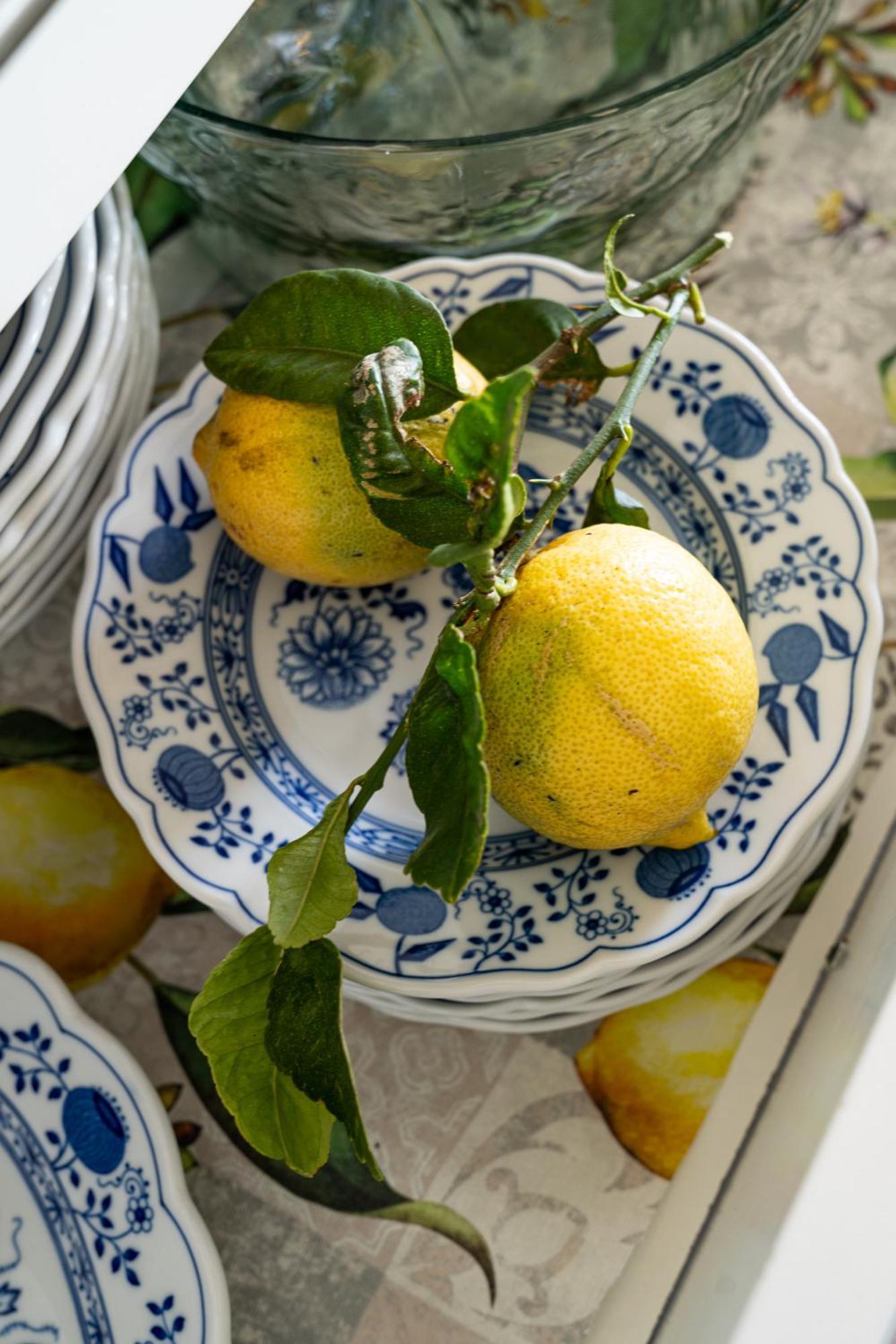 Casa De Limon