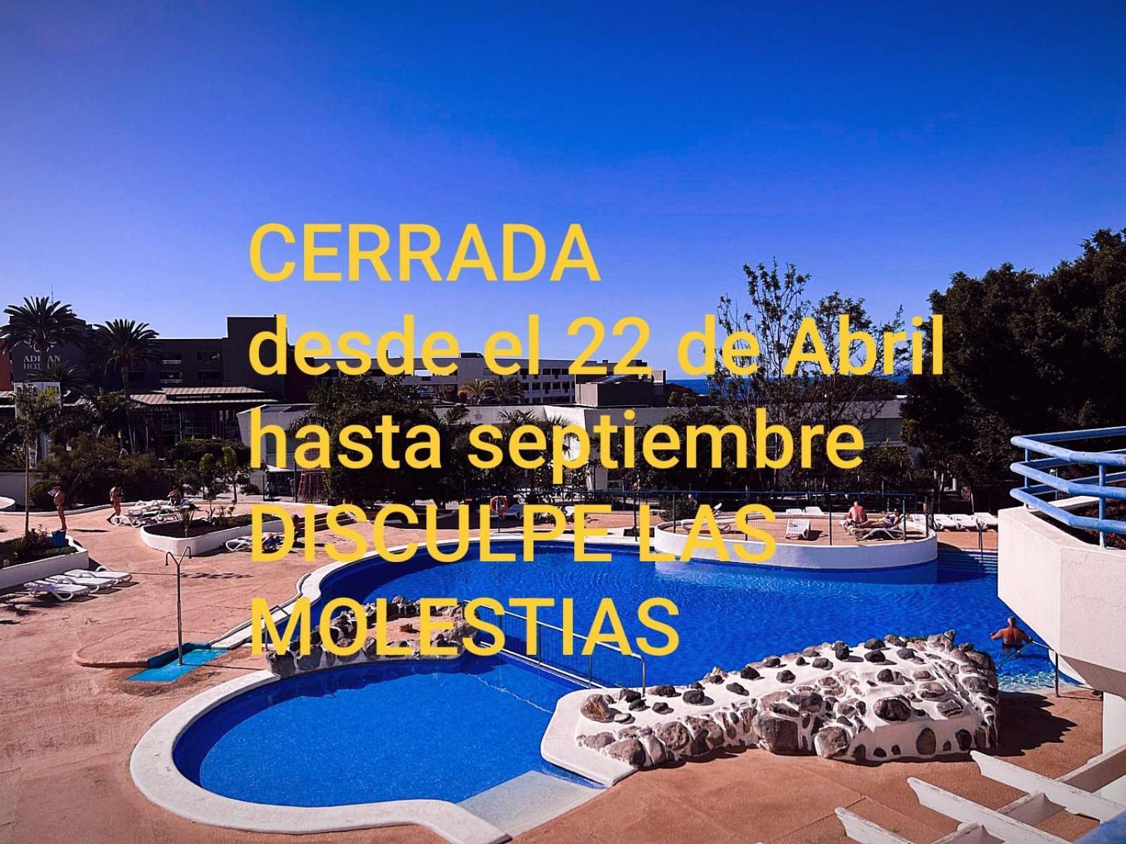 Appartement Vista Paraiso 1209 Playa Paraiso (Tenerife)