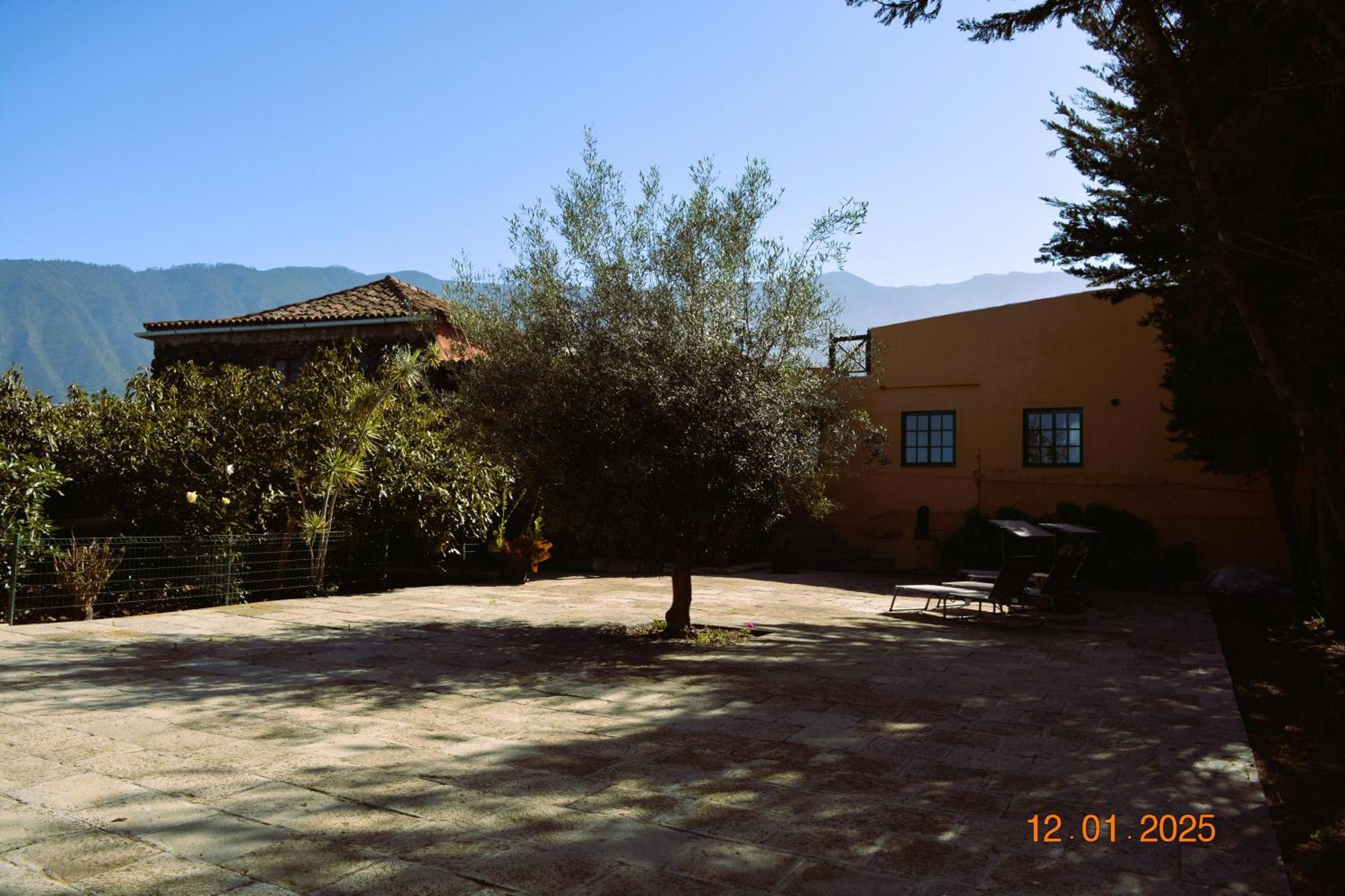 La Hachita. La Orotava