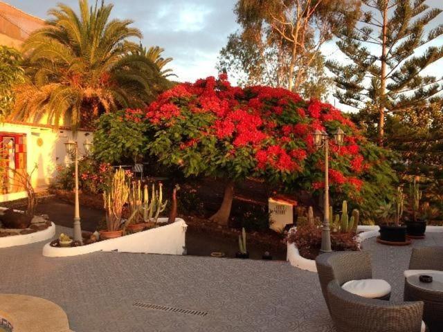 Gut Ausgestattetes Ferienstudio Mit Terrasse * Alcalá la Real