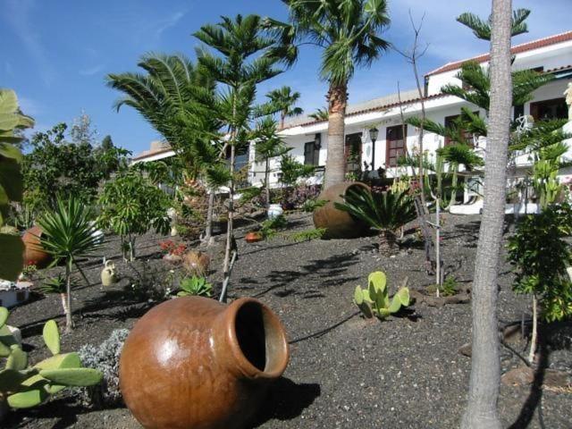 Apartamento Gut Ausgestattetes Ferienstudio Mit Terrasse