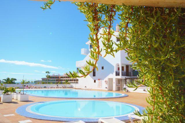 Apartment Parque Royal 5