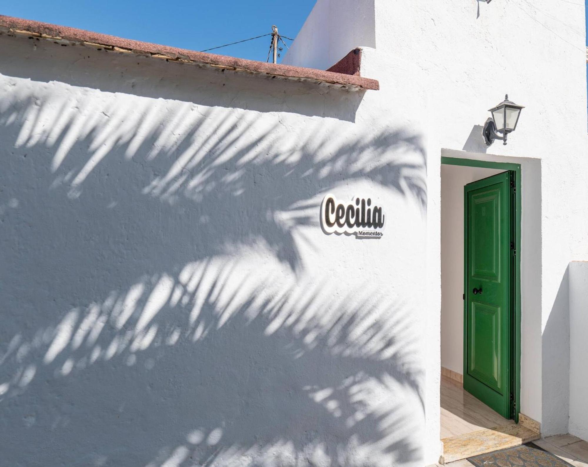 Cecilia Hébergement de vacances La Orotava
