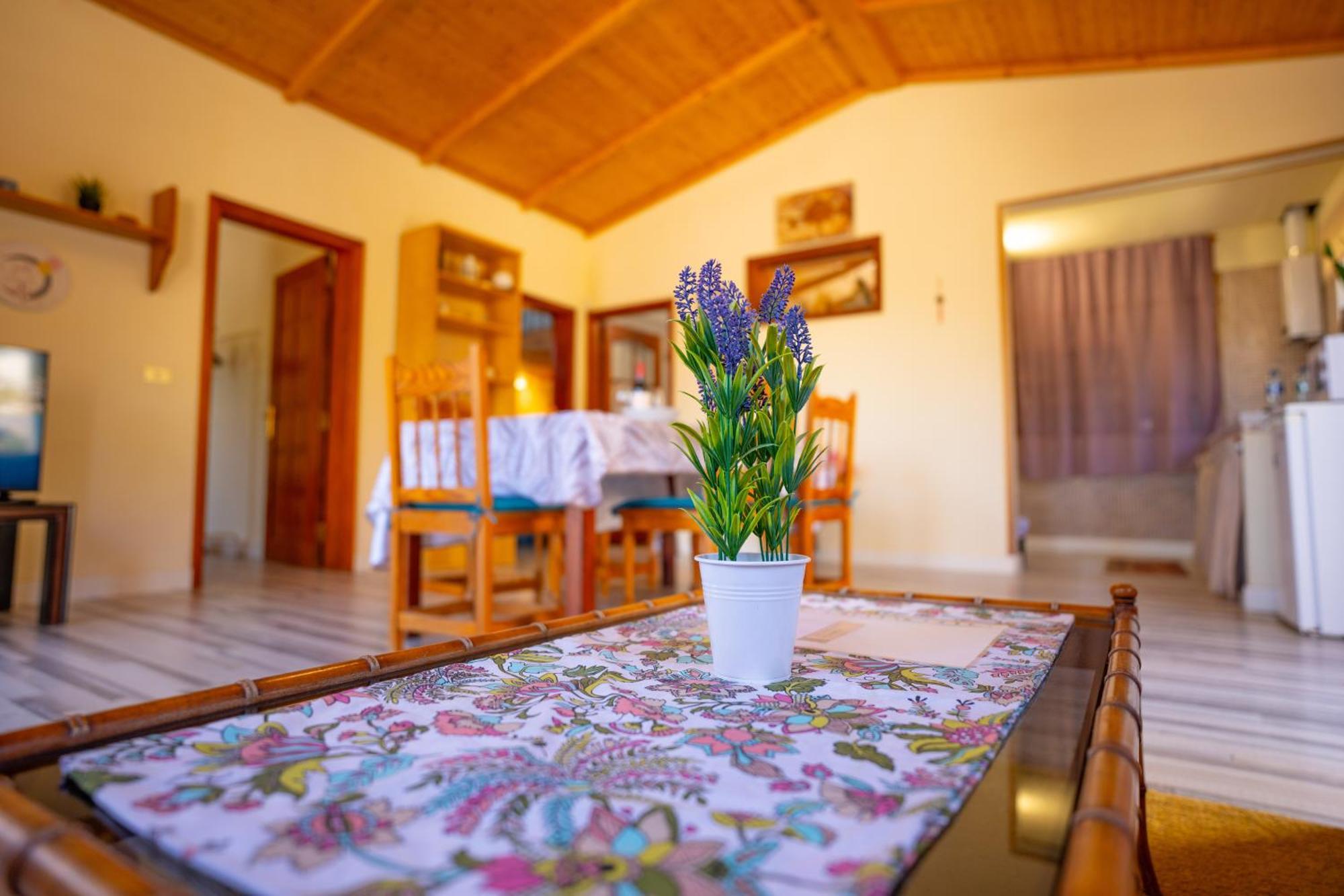 Buda Terra Holiday home Santa Cruz de Tenerife