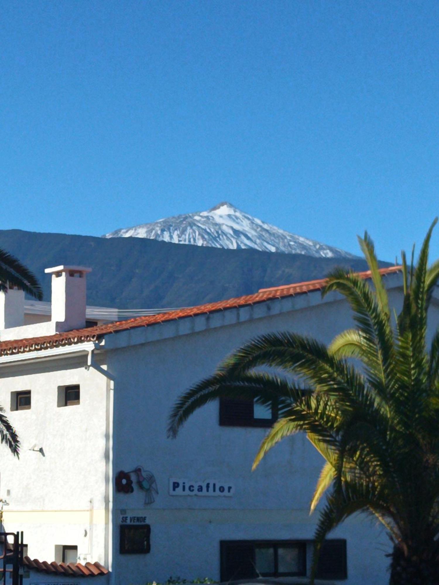 Picaflor Colibri Apartamento Puerto de la Cruz (Tenerife)