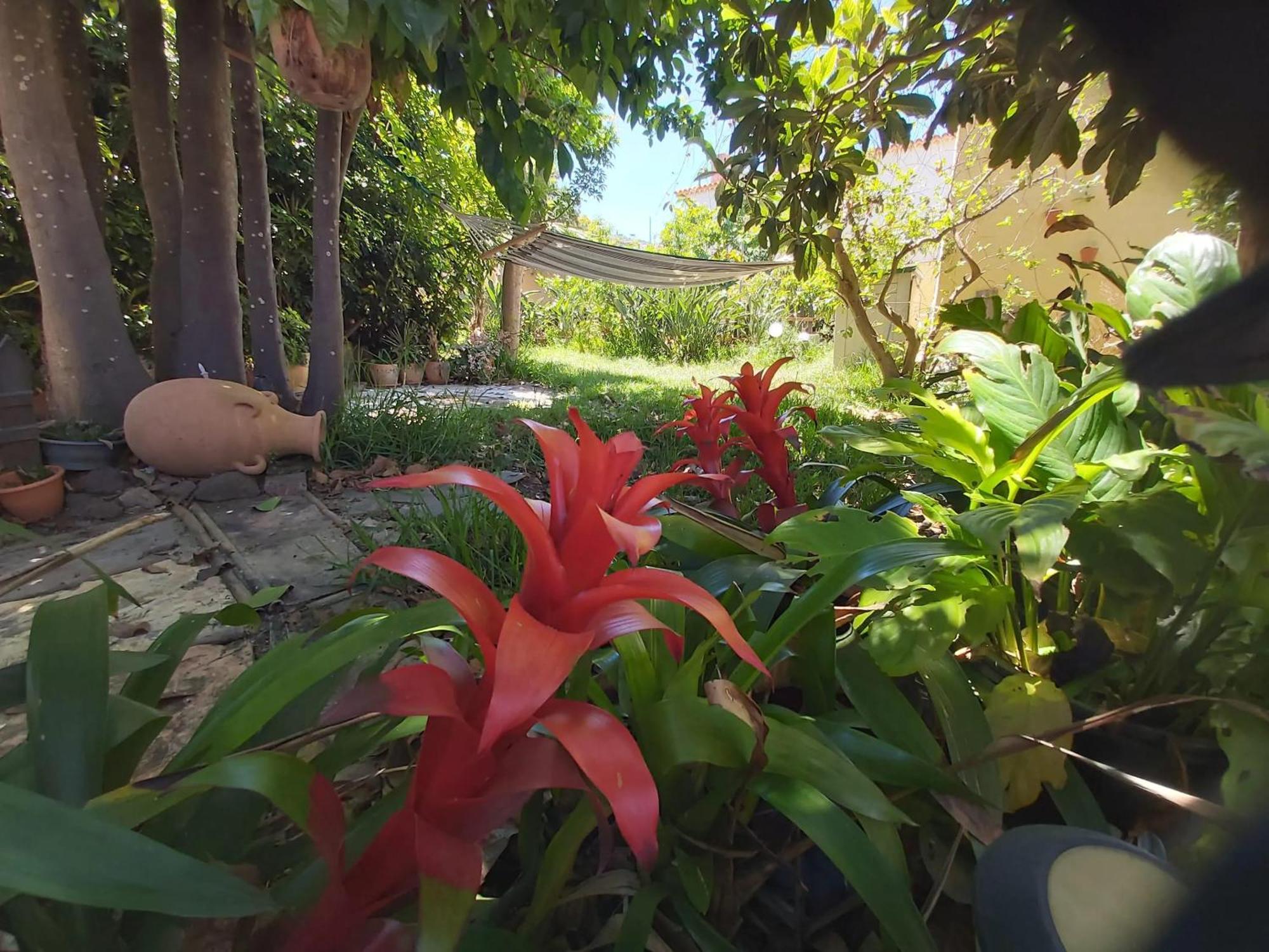 Charming House In San Cristobal De La Laguna With A Shared Pool Сasa de vacaciones La Laguna (Tenerife)