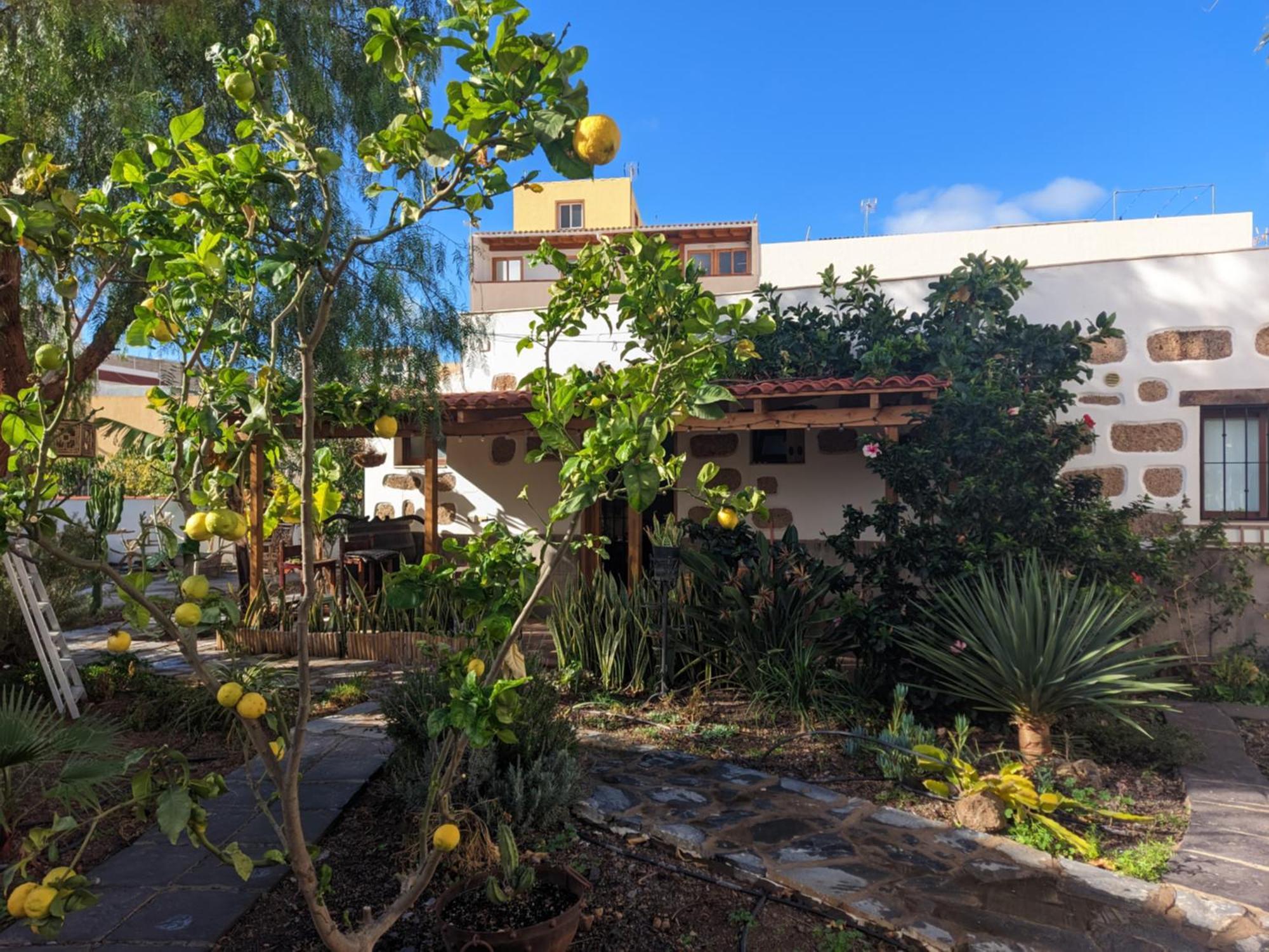 Casa Roberta Agua * Arona (Tenerife)