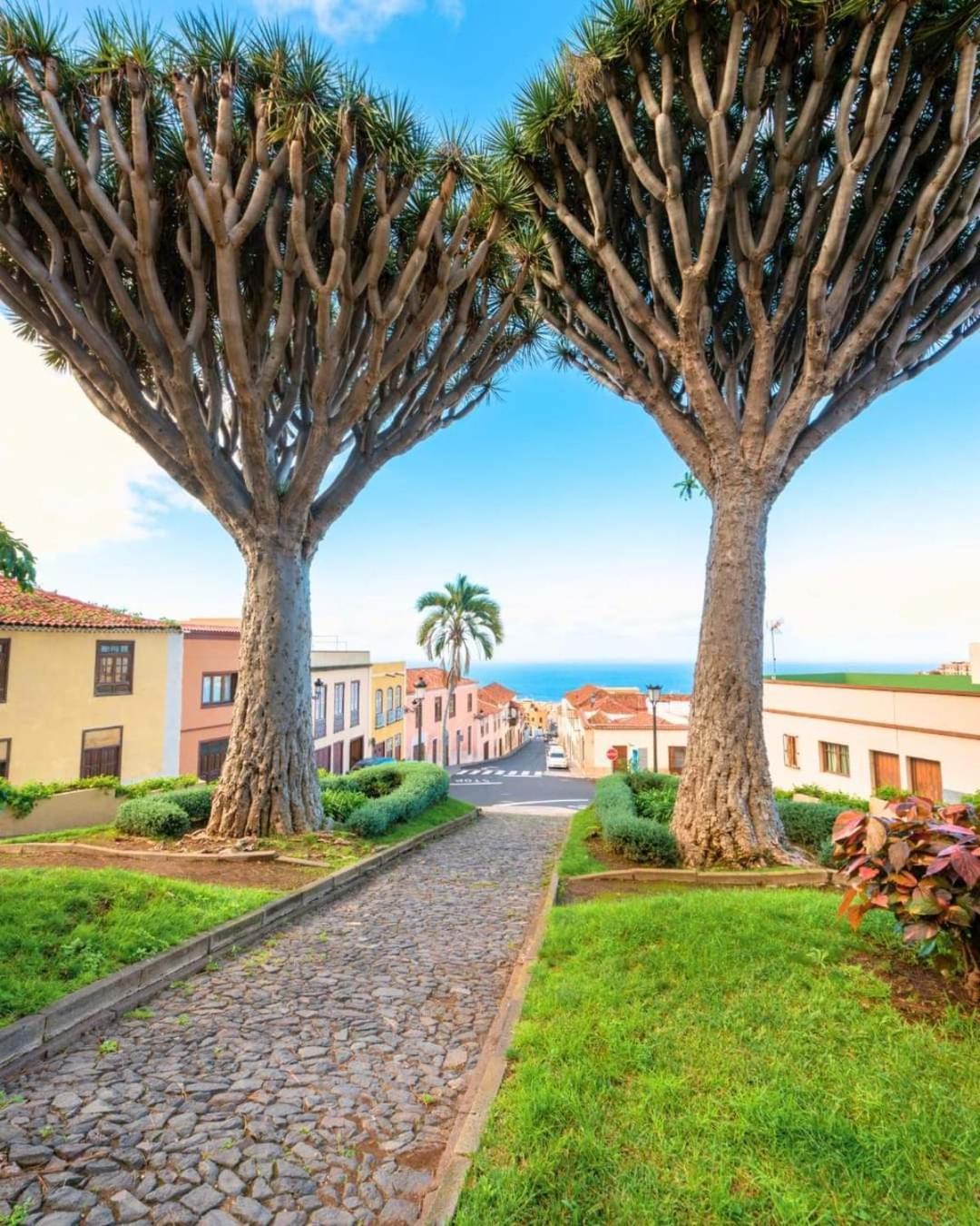 Casa Luz Del Mar * Los Realejos
