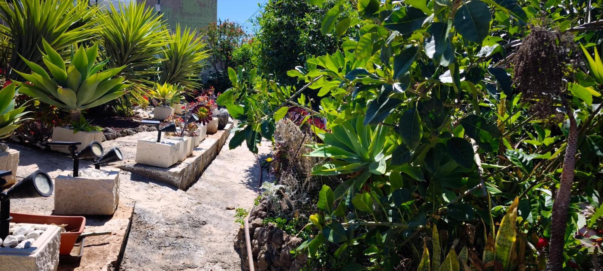 Apartamento Con Increibles Vistas Al Oceano Y La Gomera