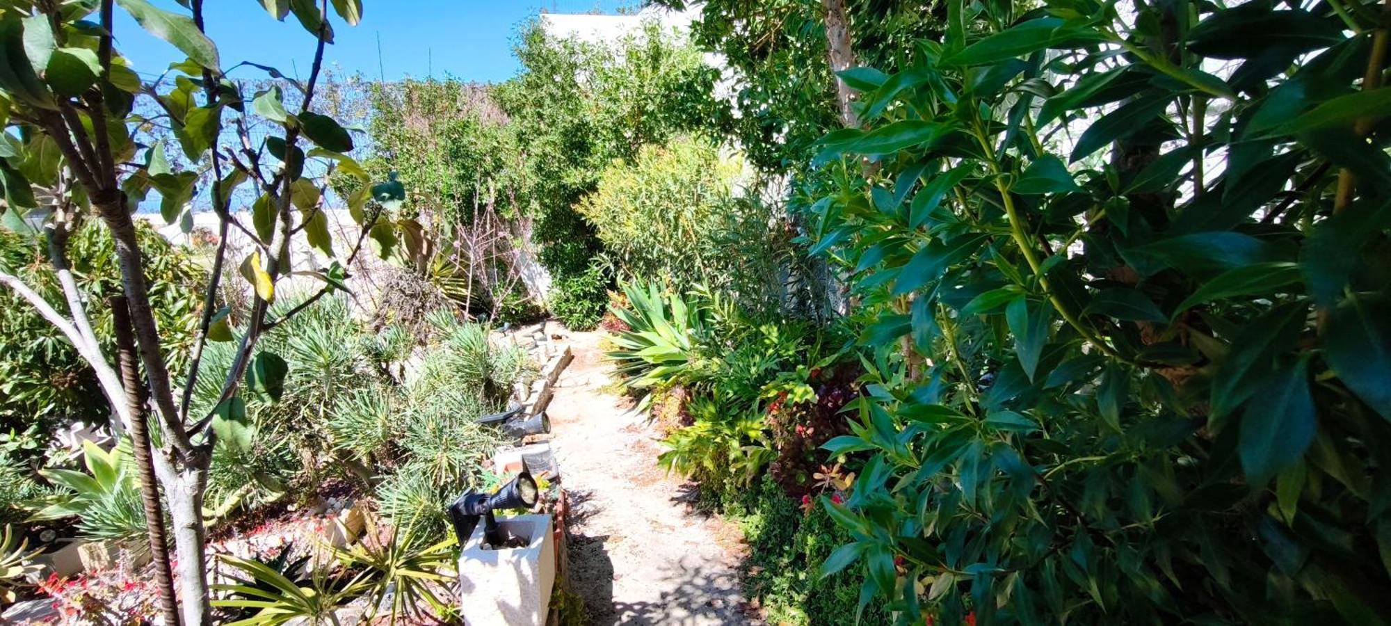 Apartamento Con Increibles Vistas Al Oceano Y La Gomera *