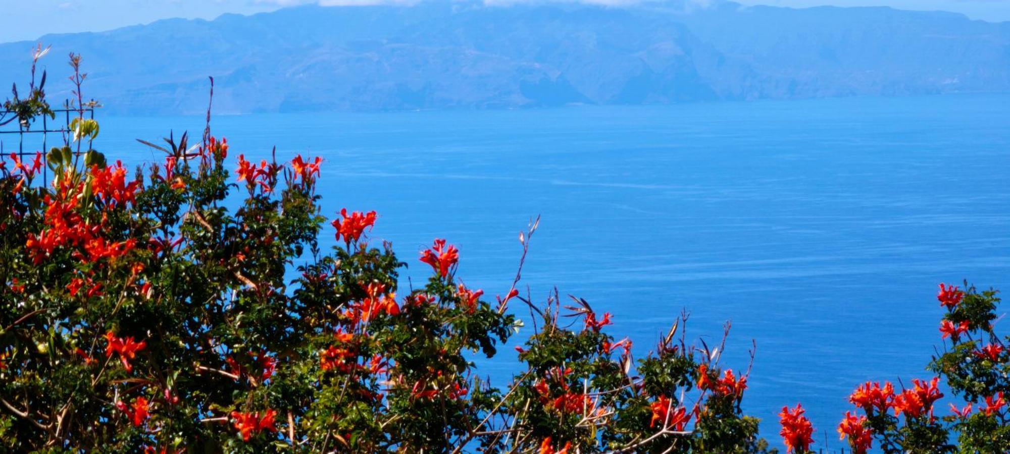 Apartamento Con Increibles Vistas Al Oceano Y La Gomera