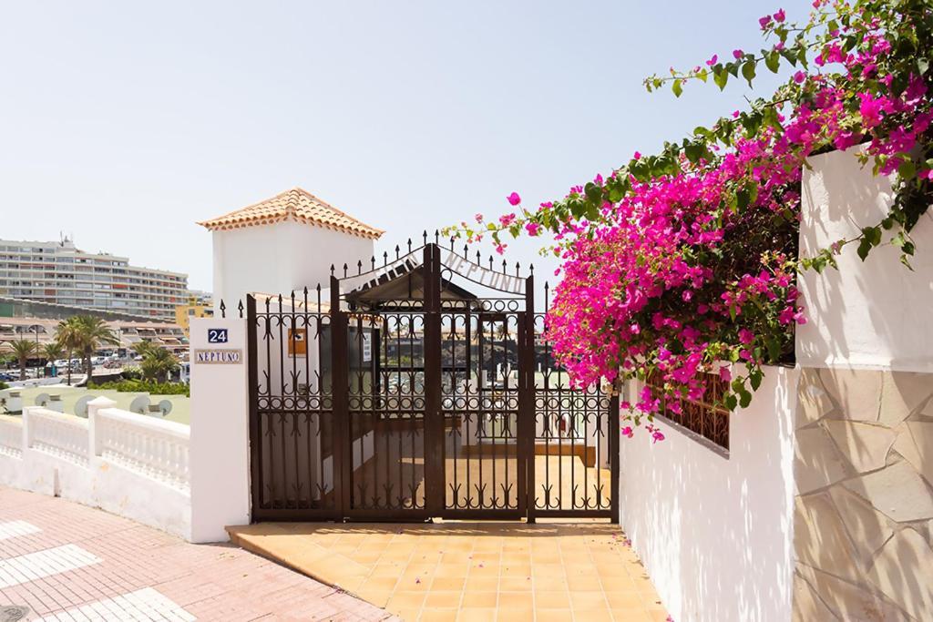 Neptuno Ocean Experience By Sydney * Puerto de Santiago (Tenerife)