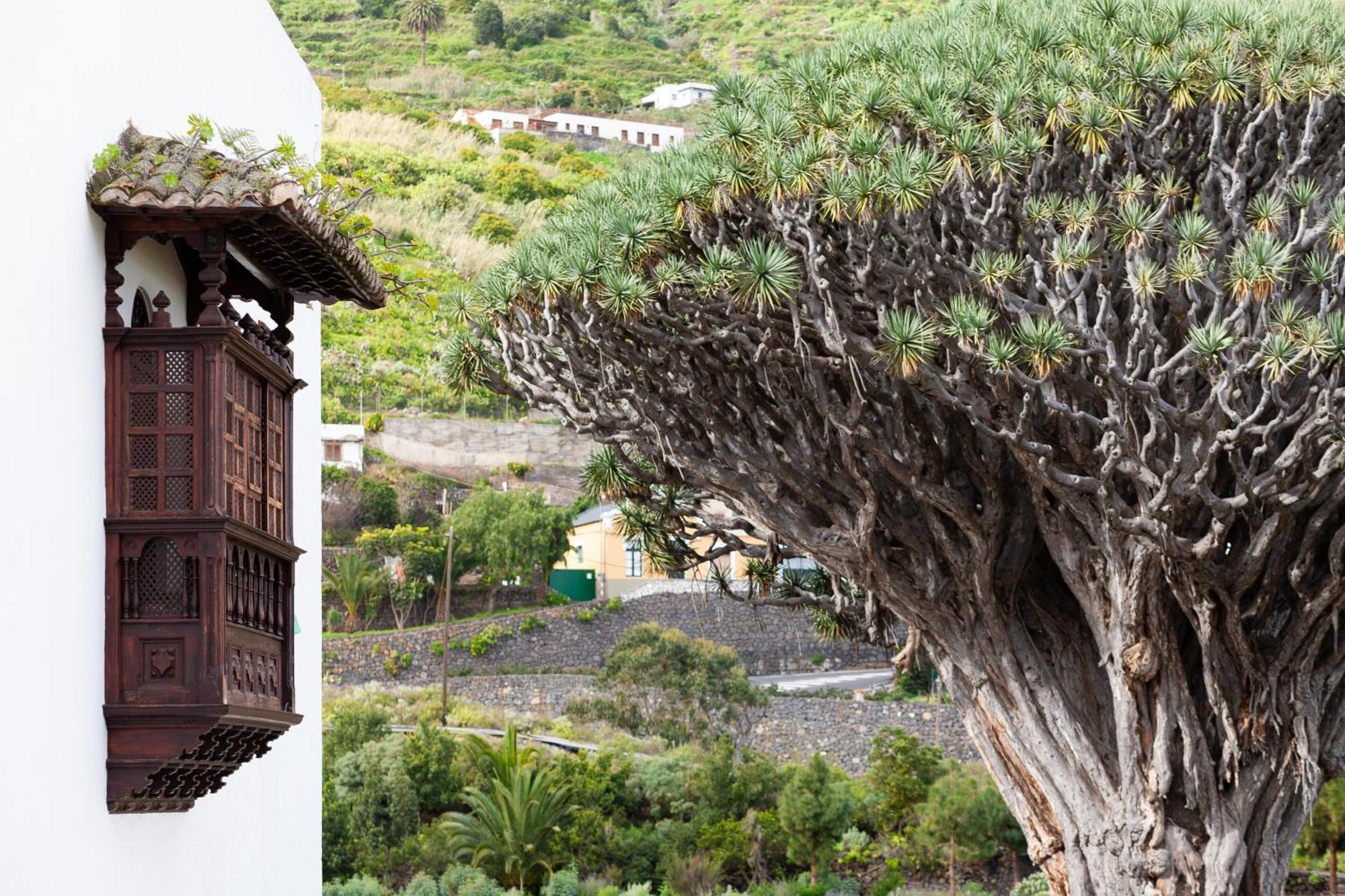 Apartamento Icod De Vinos, Playa San Marcos