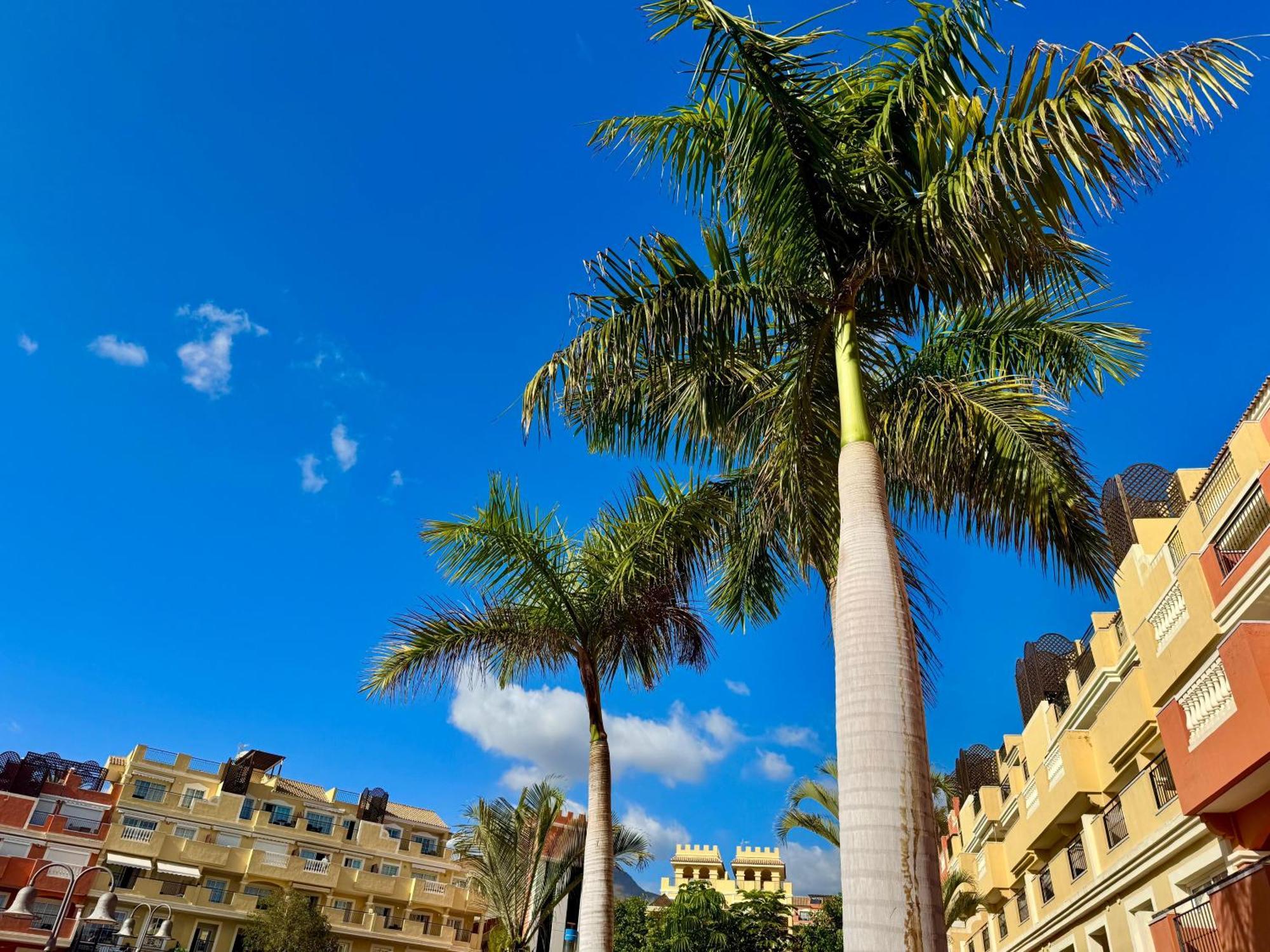Prime Americas Getaway - With Huge Private Terrace & Pool Access