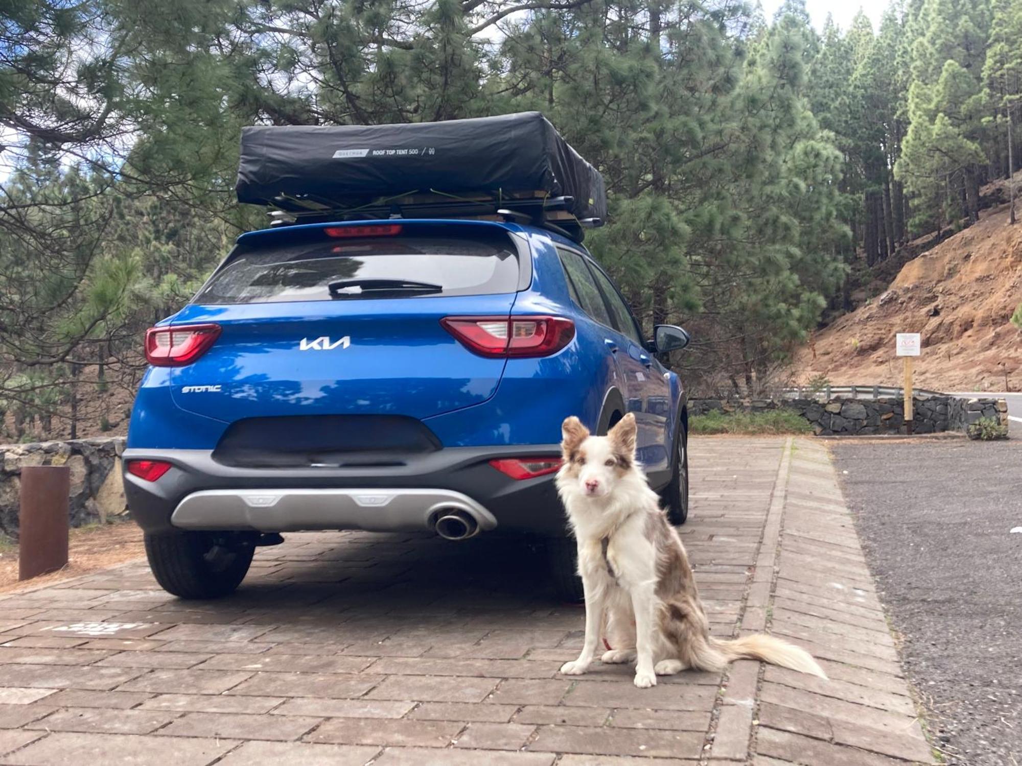 Camping Rooftop Tent *