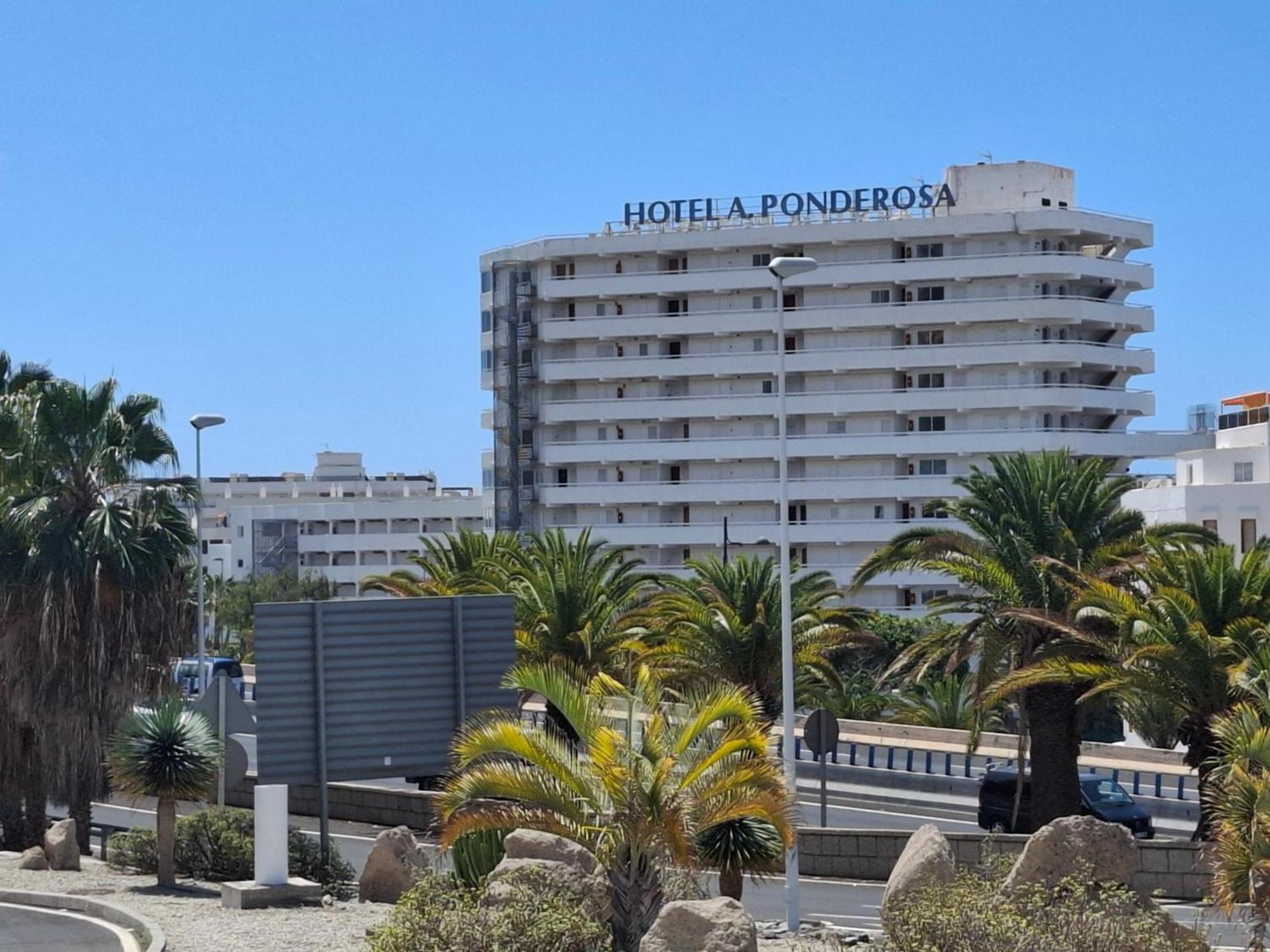 Apartment Under The Palm Playa de las Americas (Tenerife)