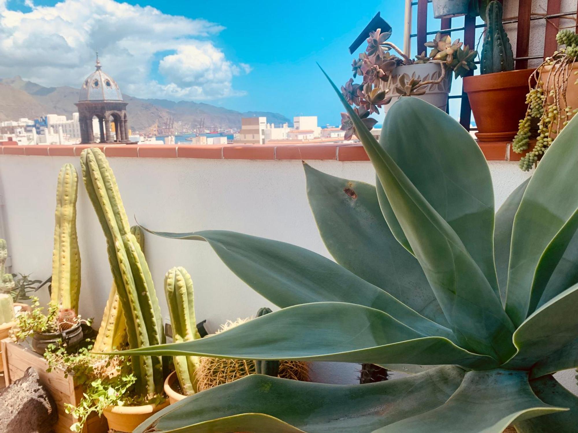 Apartment Atico Con Terraza, Vistas Panoramicas Y Parking