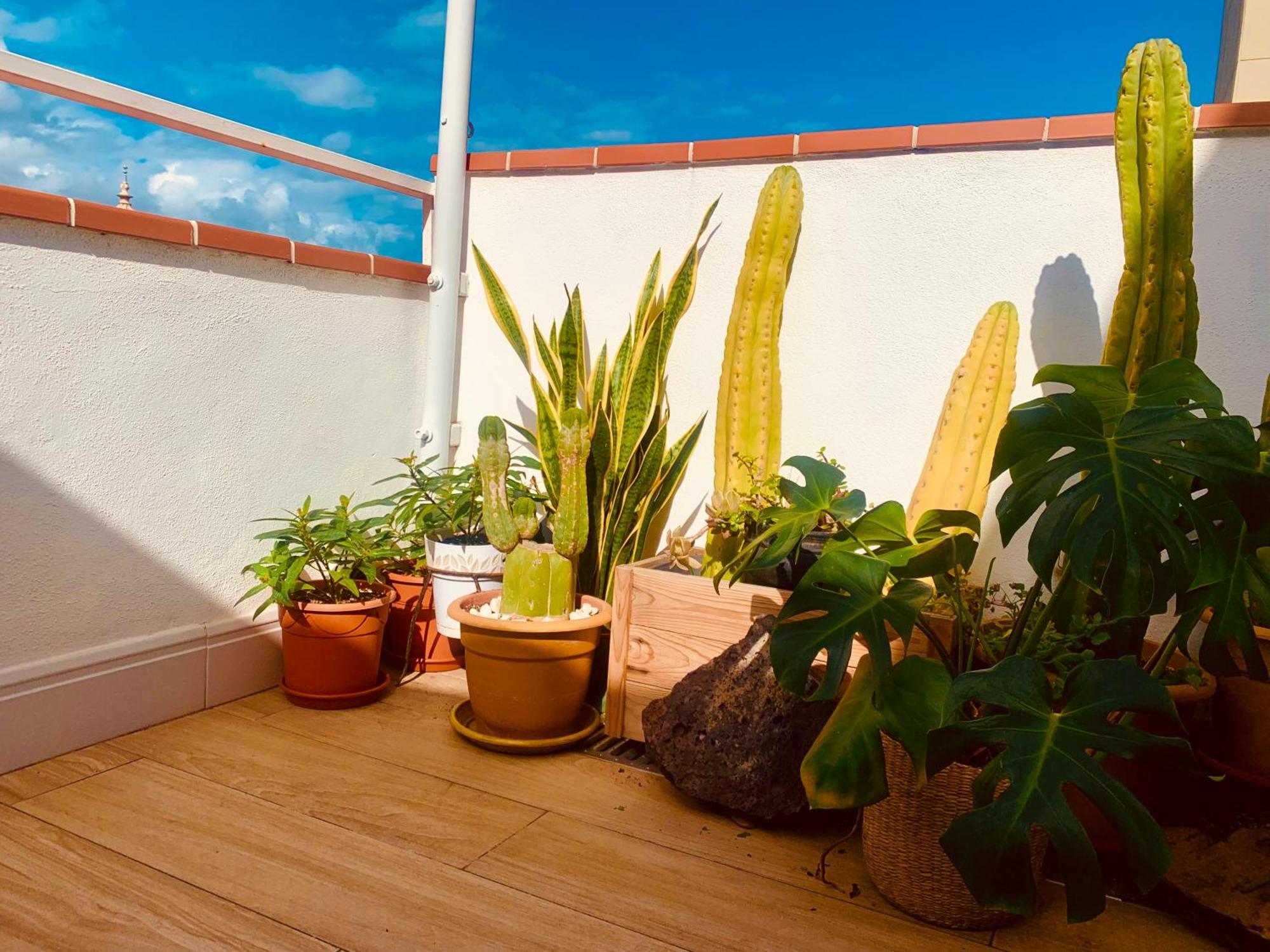 Apartment Atico Con Terraza, Vistas Panoramicas Y Parking Santa Cruz de Tenerife