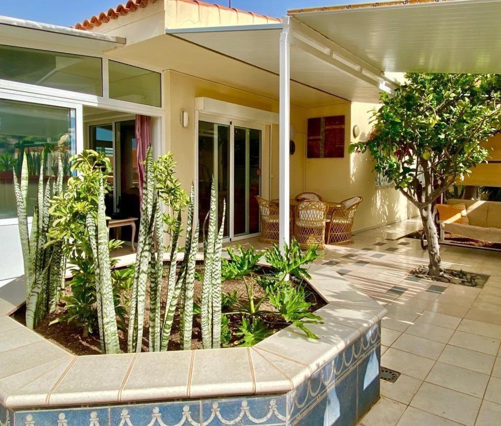 Sol Cristianos Arona (Tenerife)