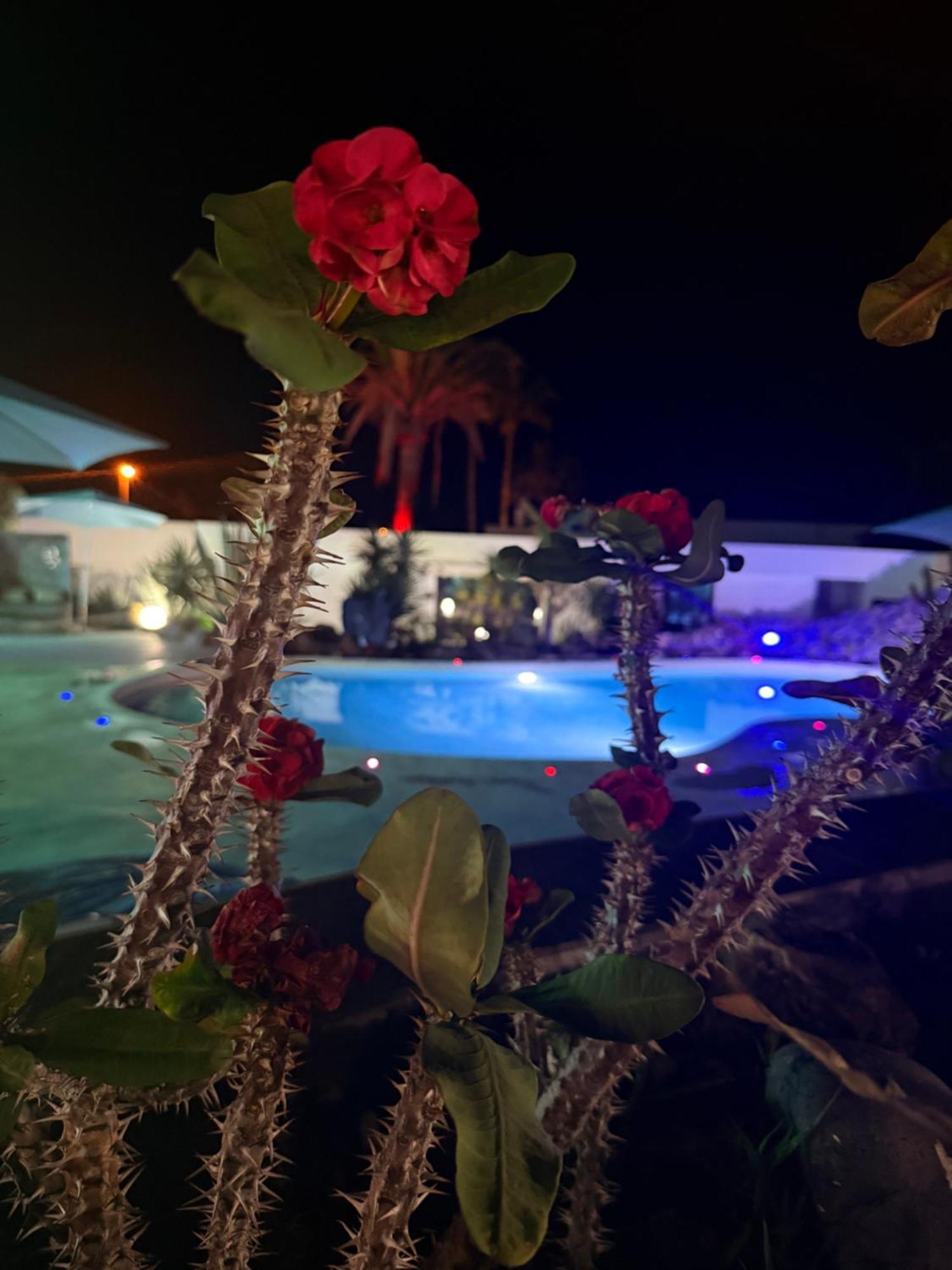 Villa Paraiso Playa Paraiso (Tenerife)