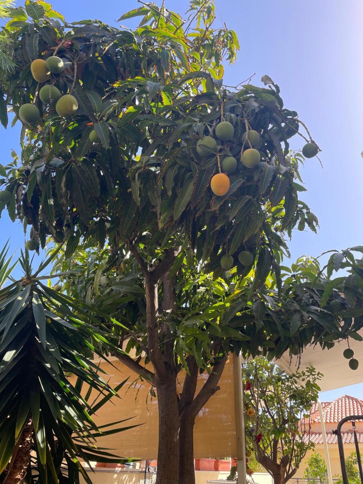 Villa Sol Cristianos *