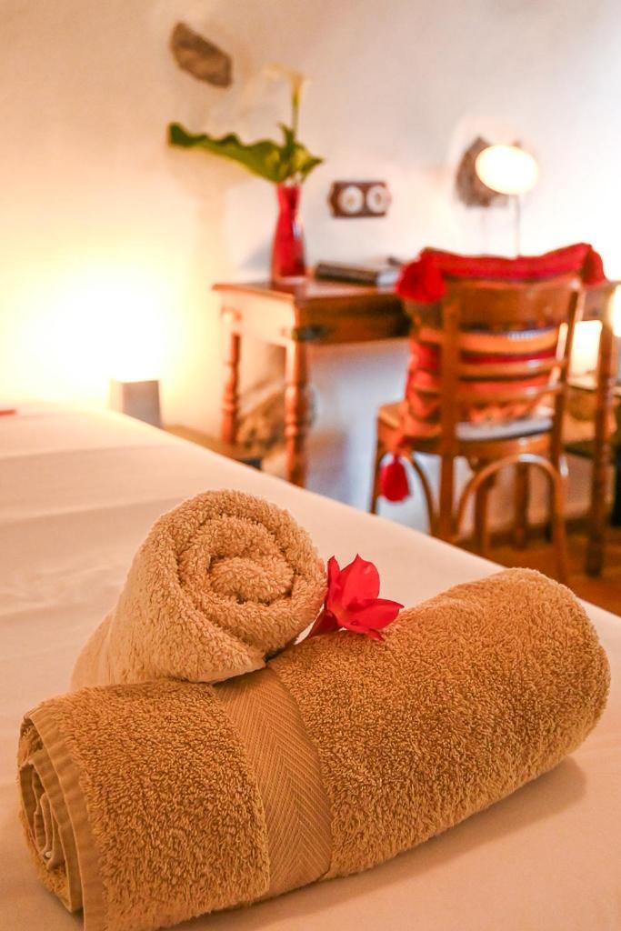 Chamorga - - - Country house Santa Cruz de Tenerife
