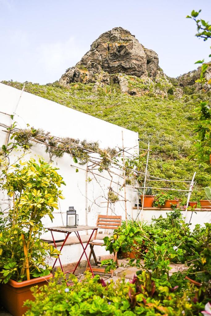 Country house Chamorga - - - Santa Cruz de Tenerife