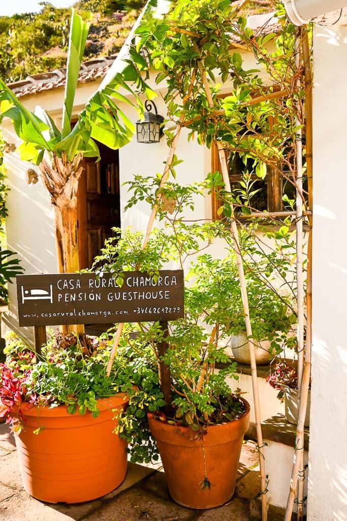 Country house Chamorga - - - Santa Cruz de Tenerife