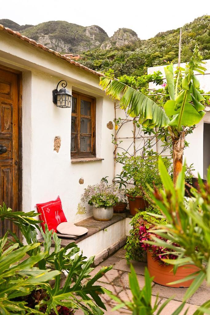 Chamorga - - - Country house
