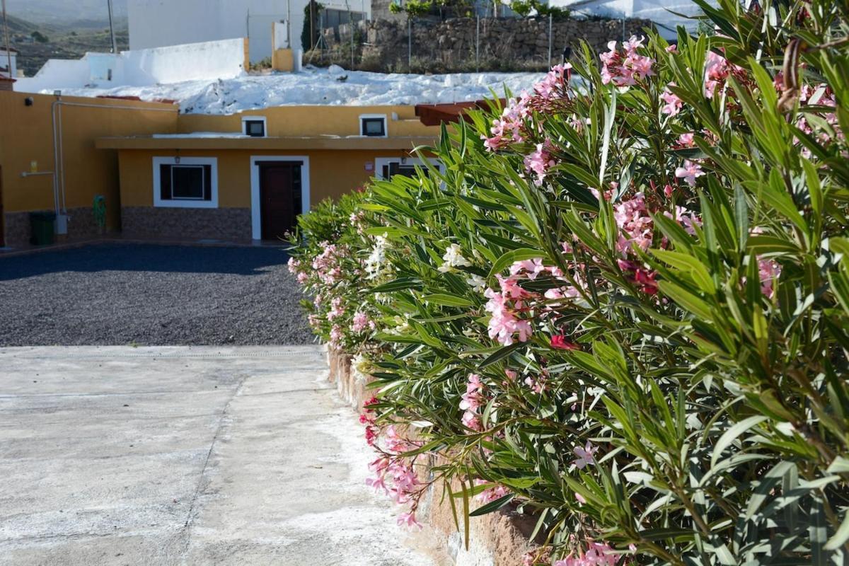 Casa Cueva Mansos Santa-Cruz de Ténérife