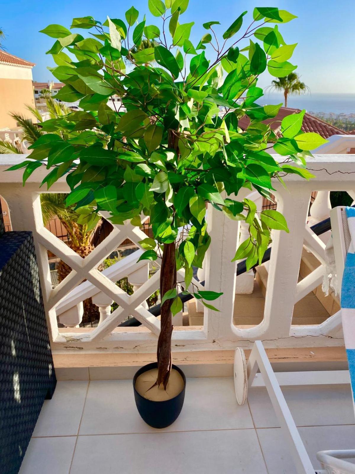 Passione Beautiful With Sea View