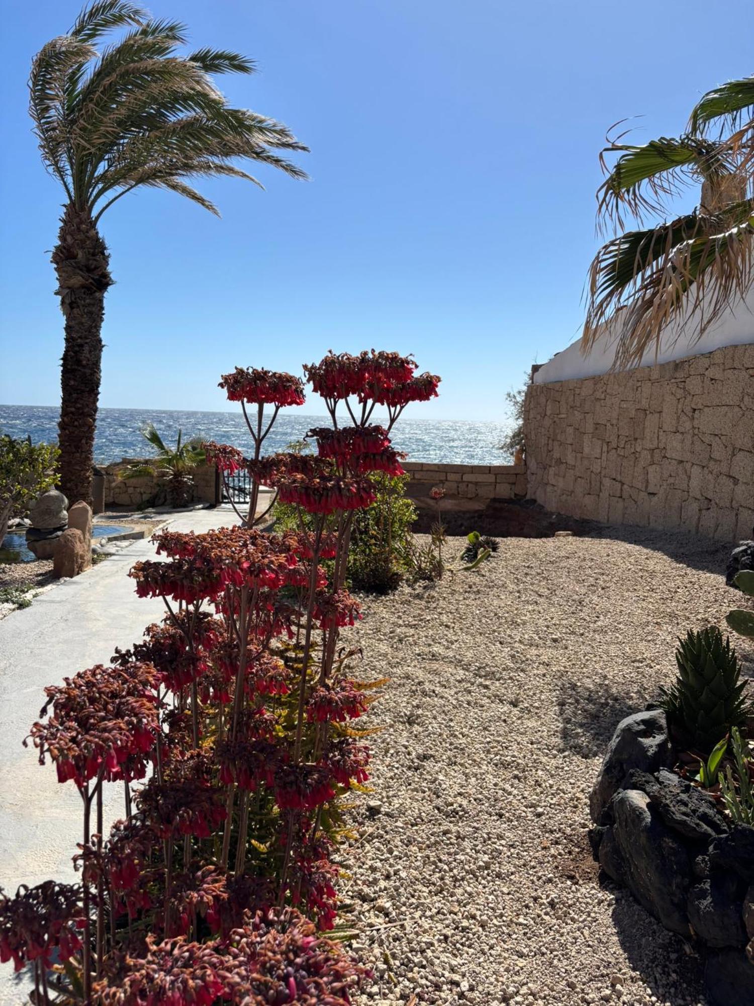 Little Paradise In El Medano Apartment Granadilla De Abona