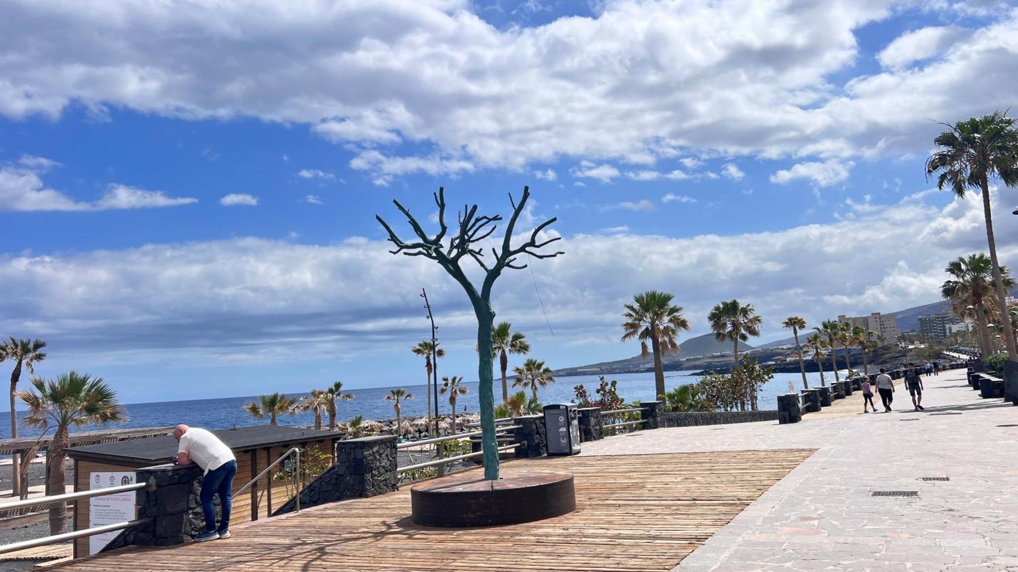 Terraza Del Sol Con Piscina En *