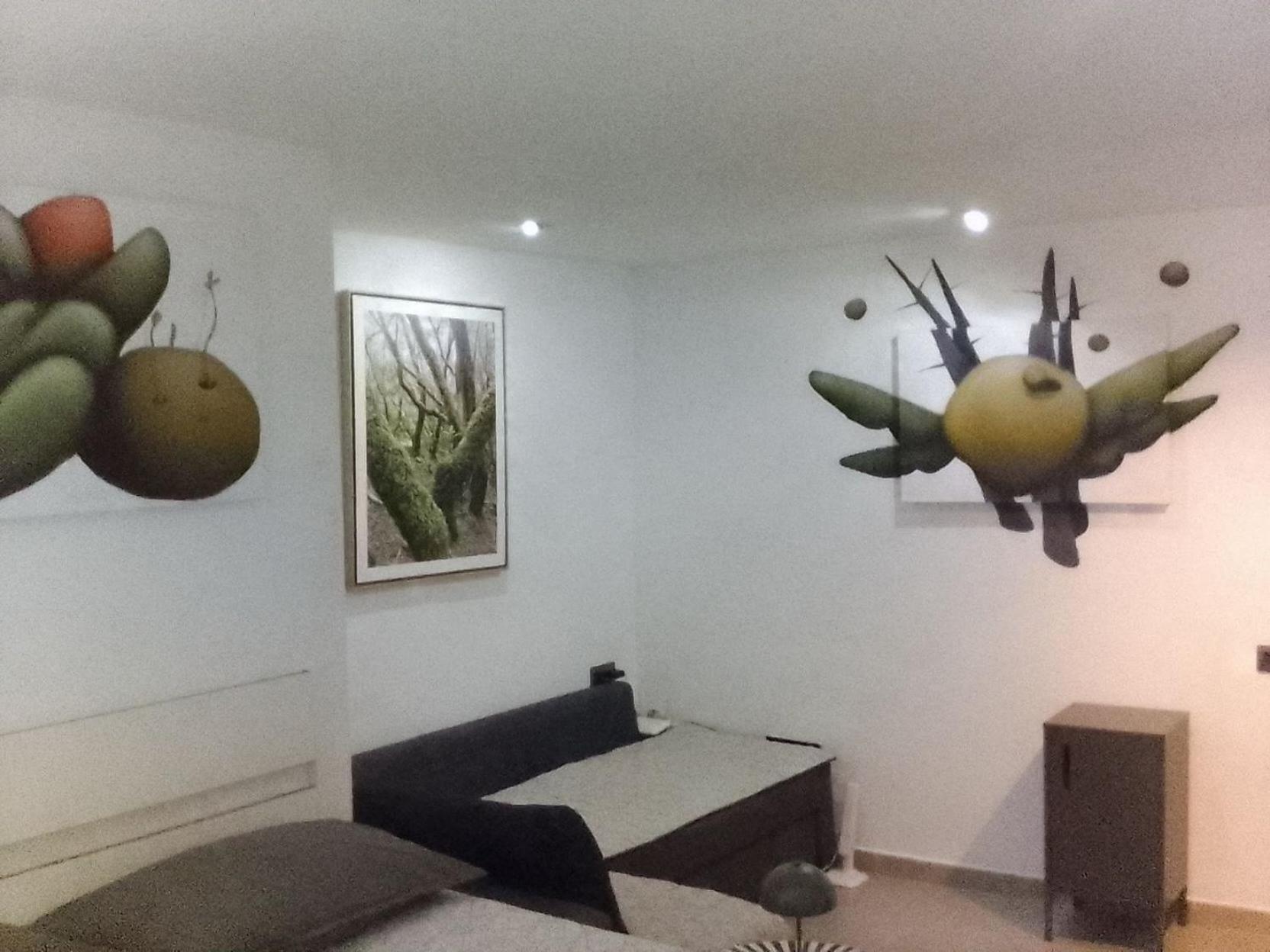 Bed & Breakfast Casa Salvia - Icod - Tenerife