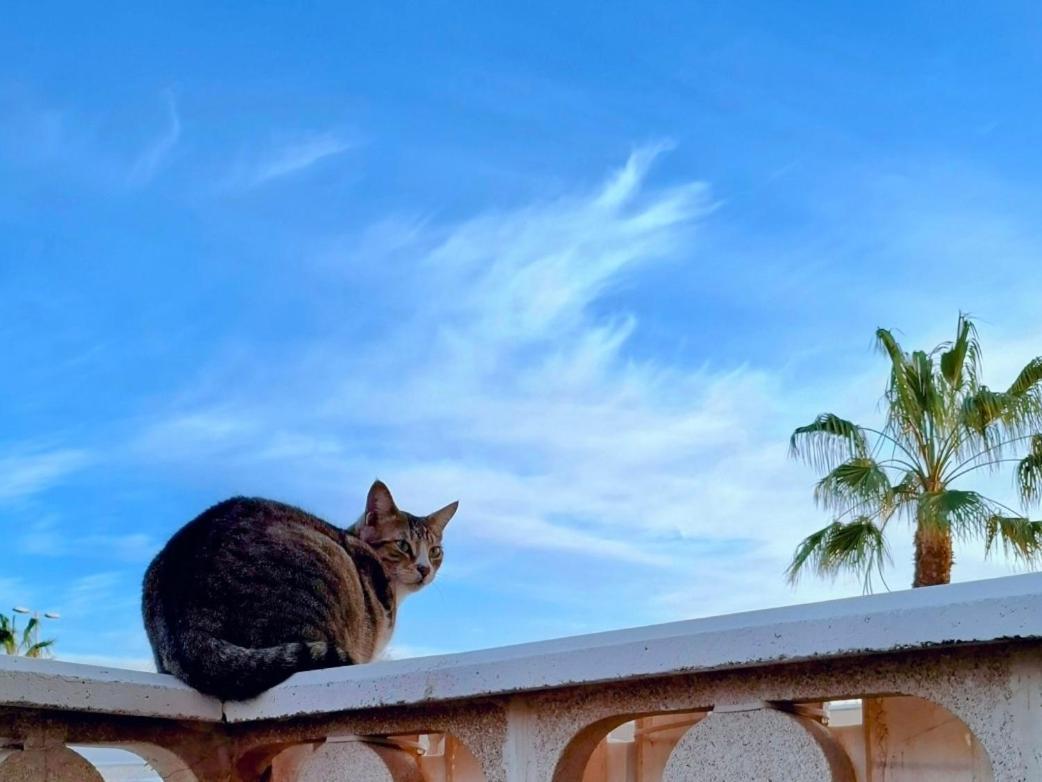 Doble Con Bano Y Terraza Privada * El Médano