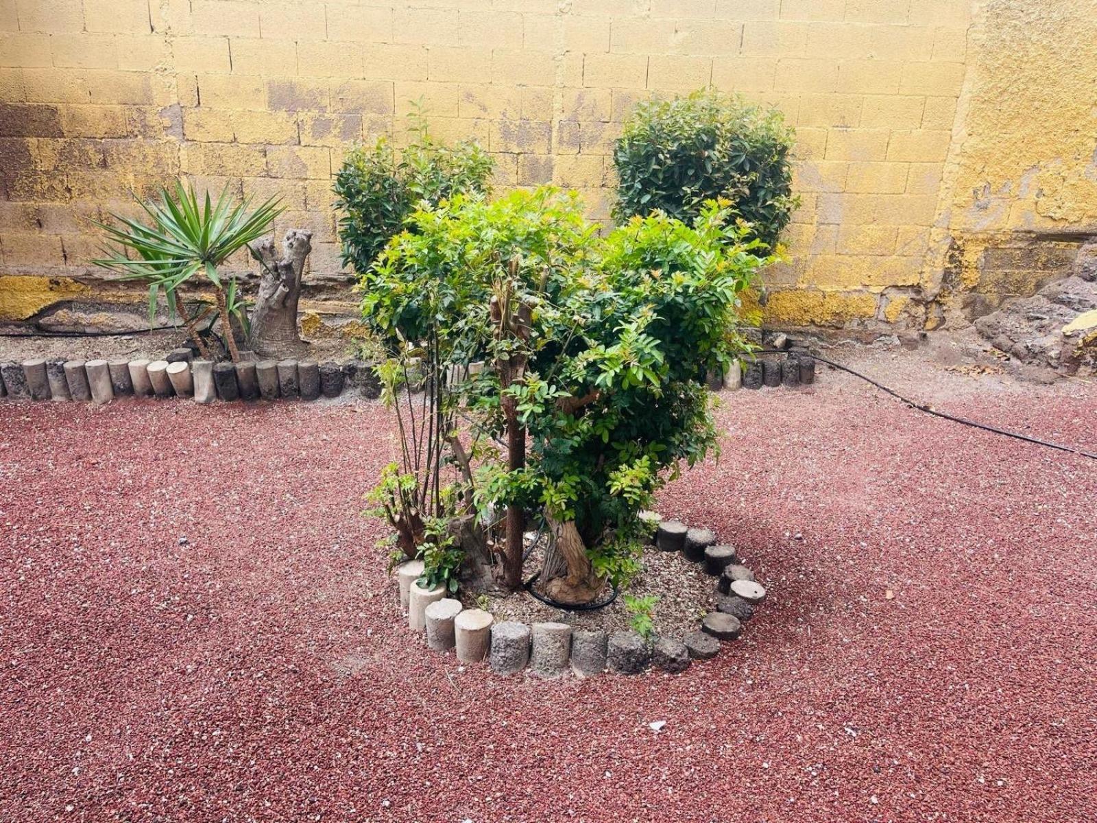 Apartment Cozy 2-bed & Sofa-bed In Cristianos *