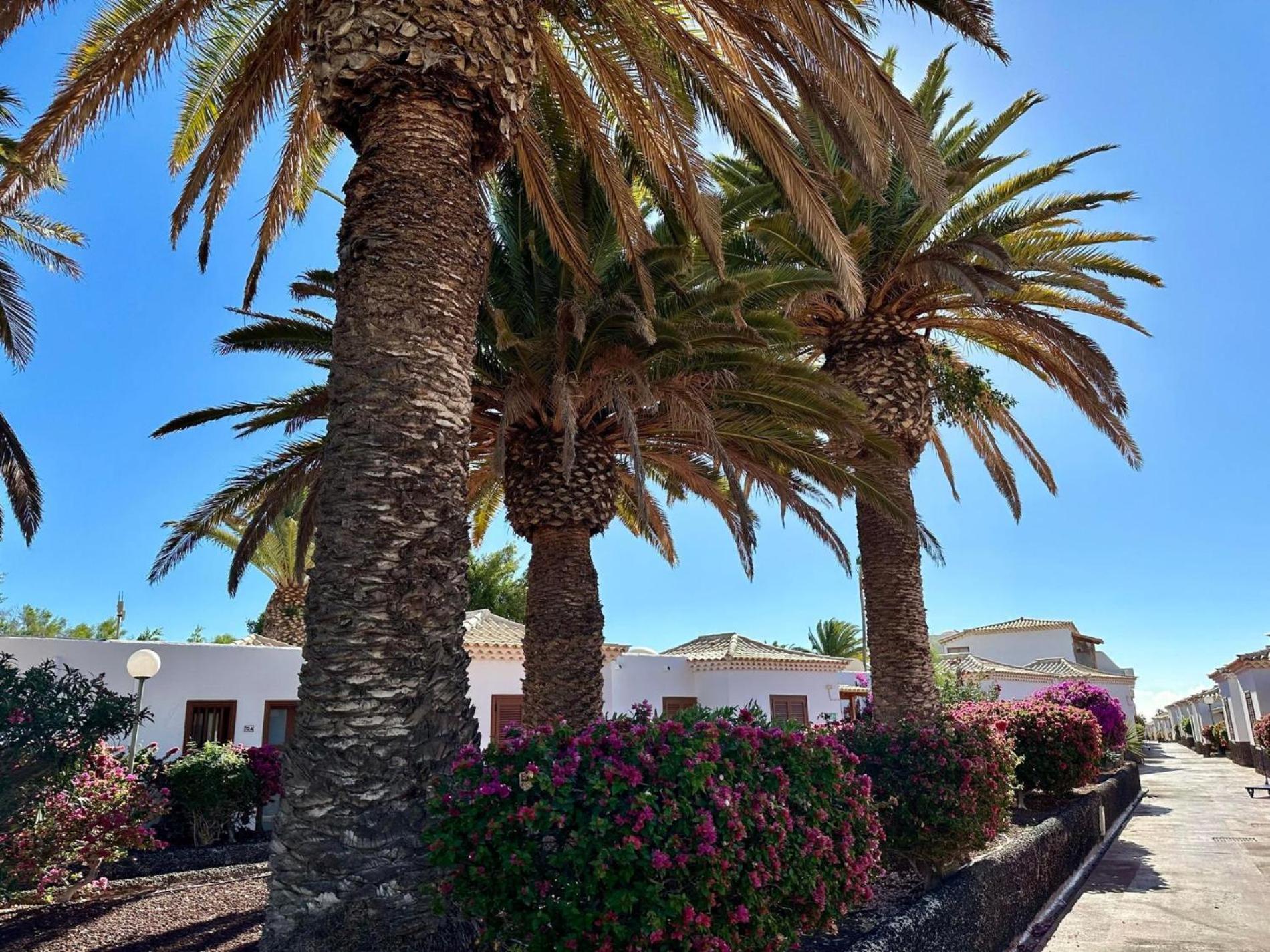 Horizon Hideaway, Golf Del Sur * San Miguel de Abona
