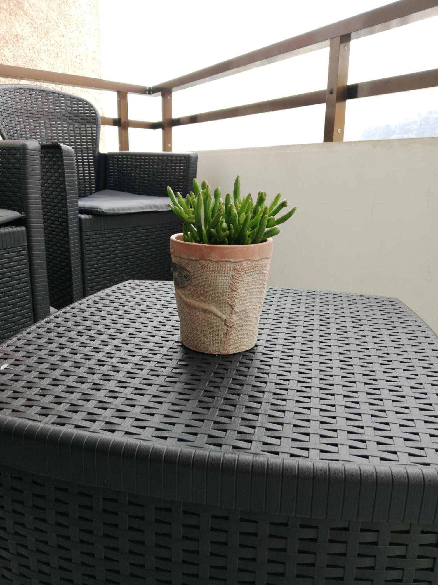 Casitarino Apartamento *