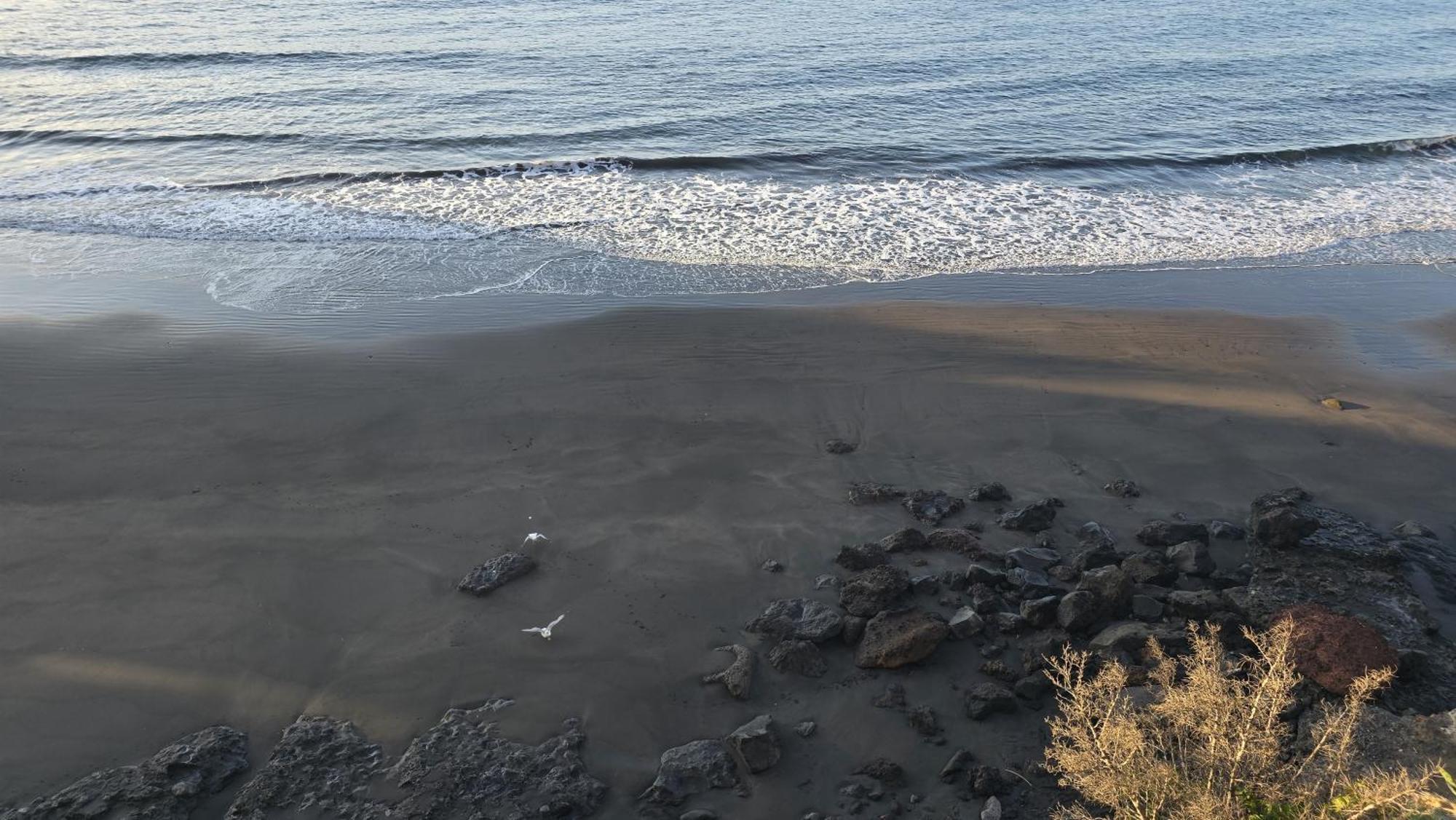 Seaview Apartment, Playa Chica, Gaviotas, 311 Apartment *