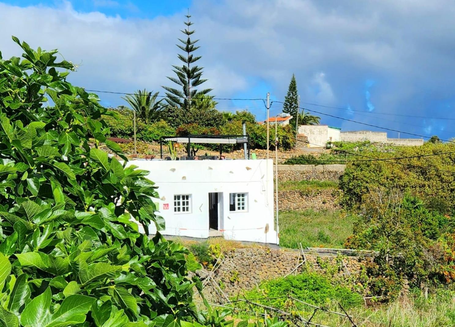Casa Salvia - Icod - Tenerife * Icod De Los Vinos