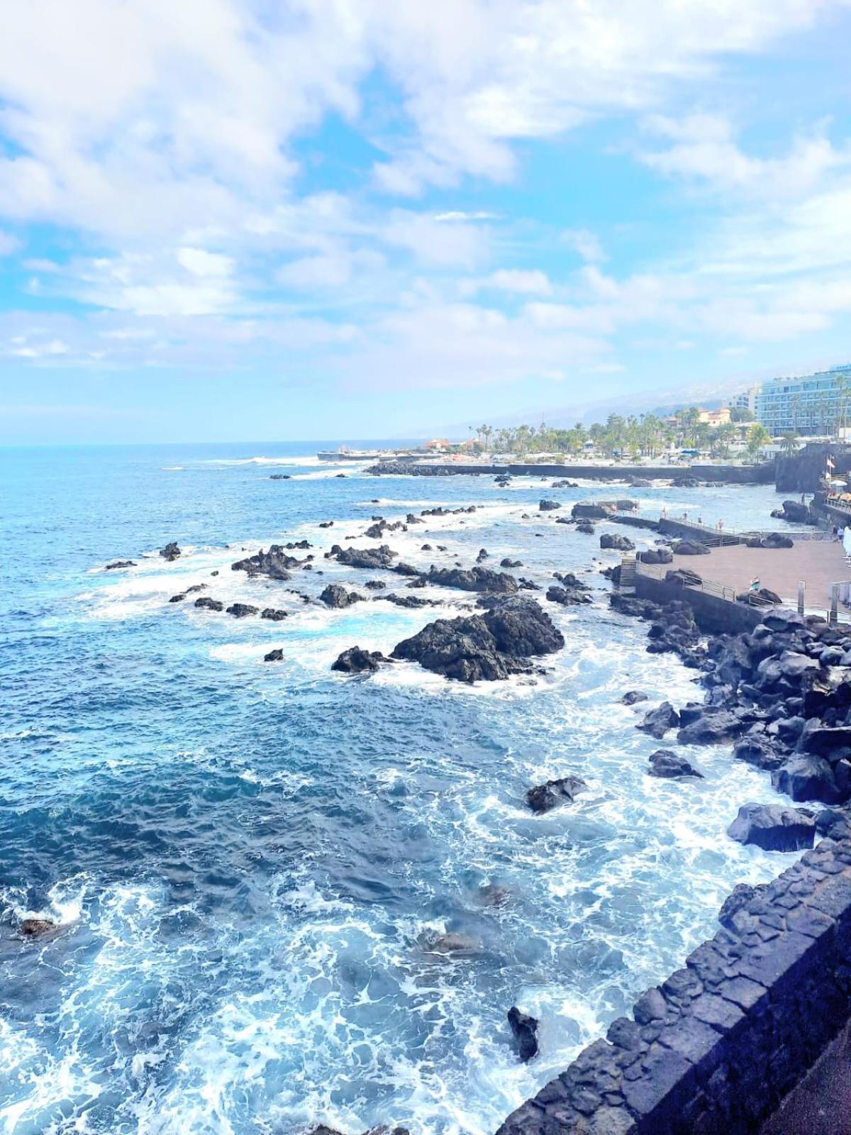 Estudio Playa Jardin *