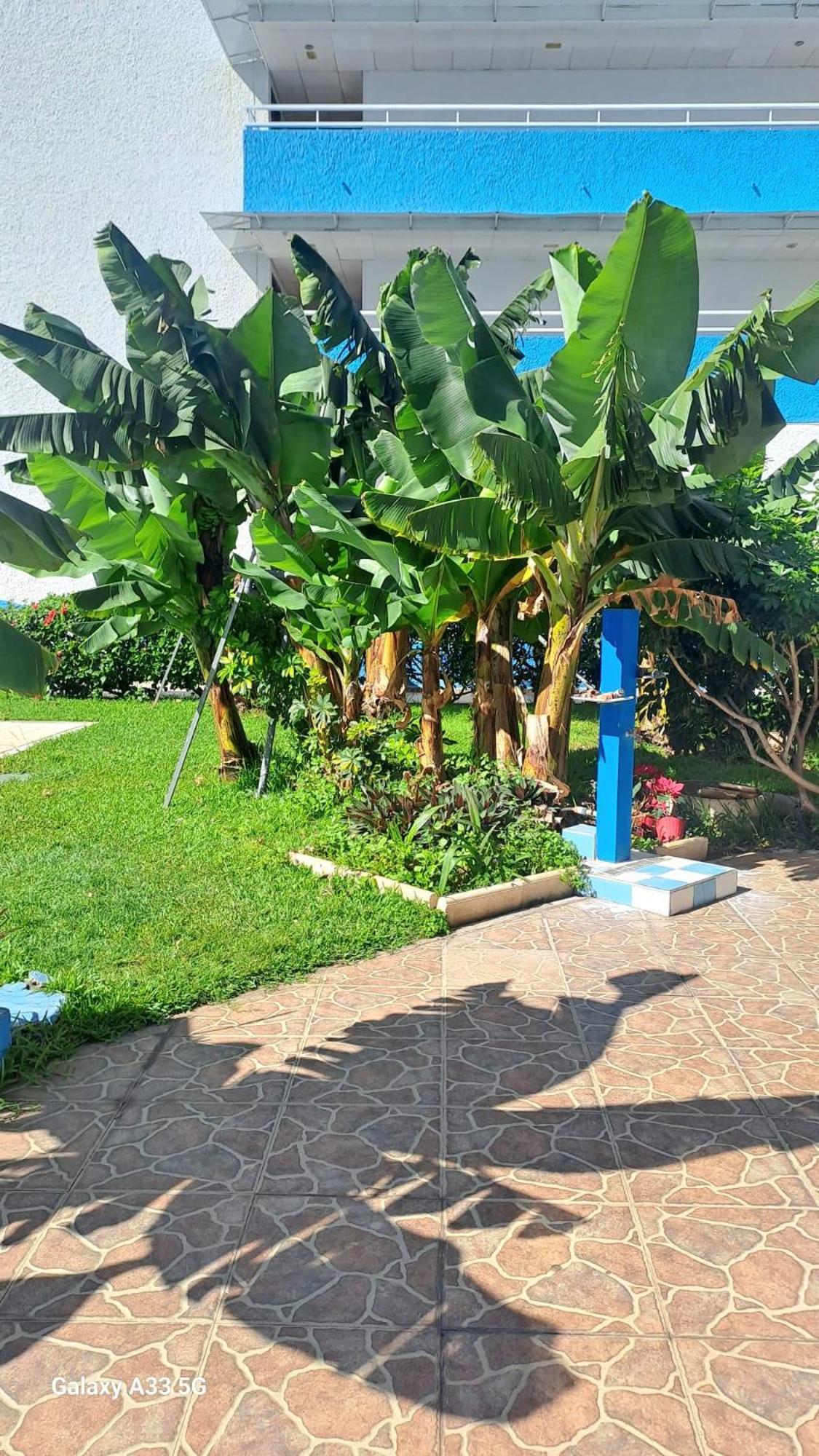 Estudio Playa Jardin
