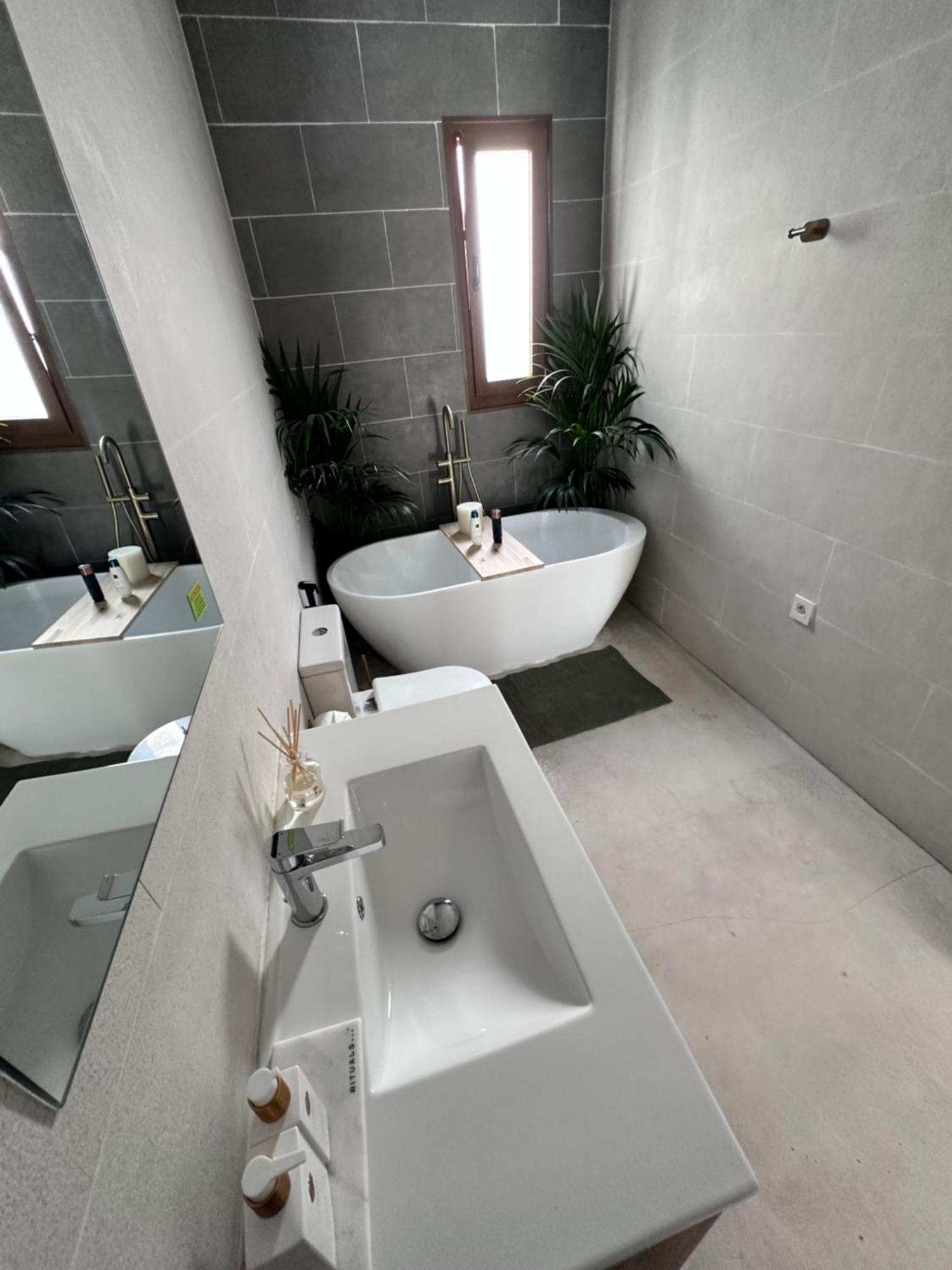 Euphorbia Apartment *