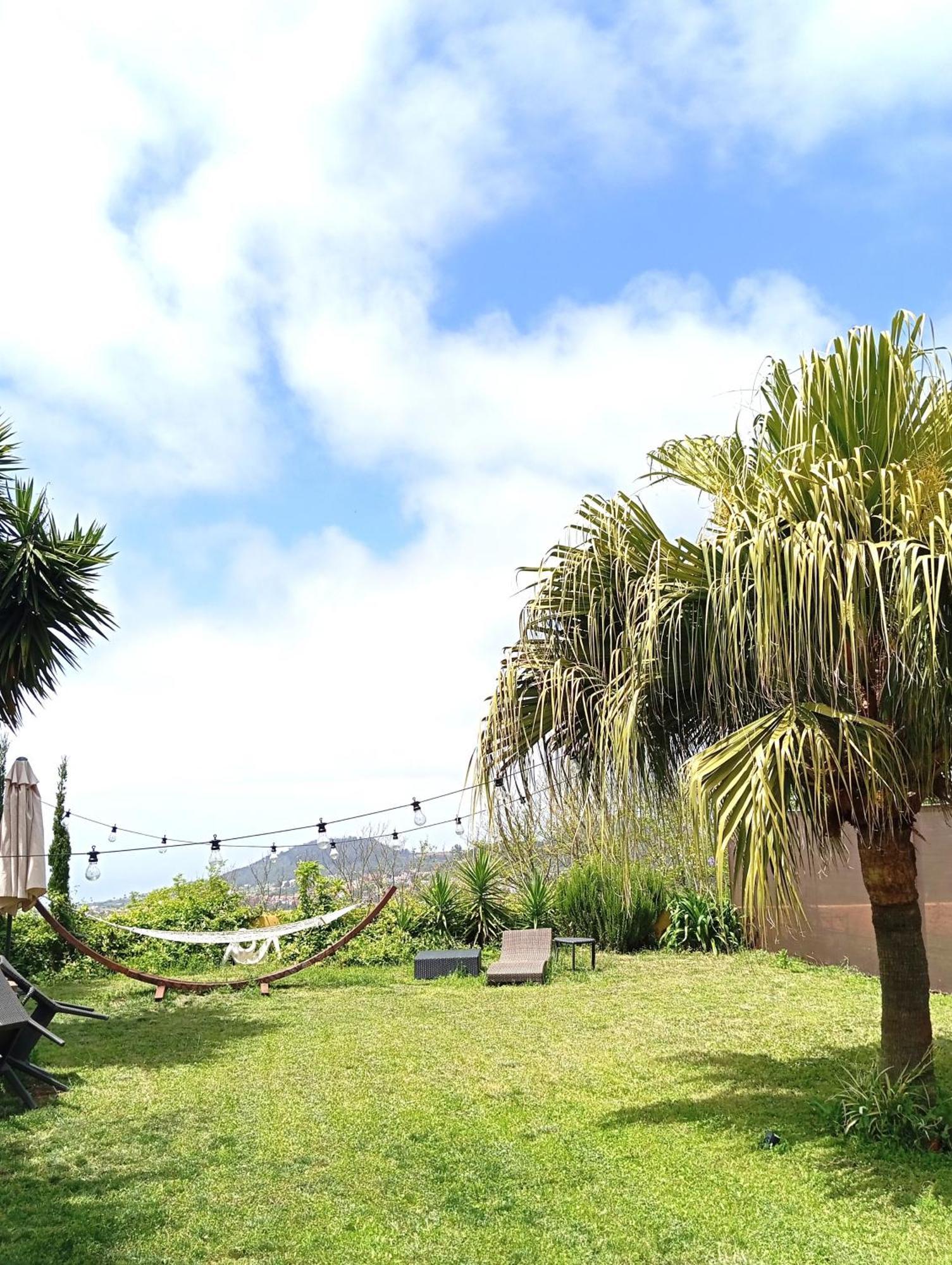 Tenerife Tacoronte