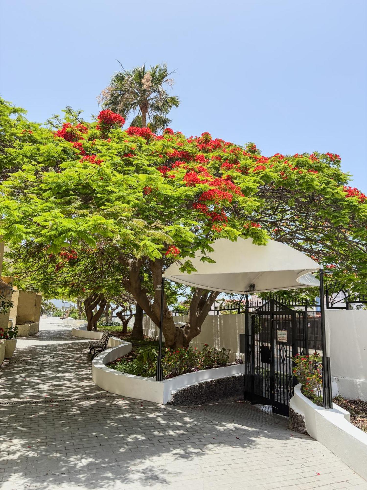 Holiday home Cortijo *