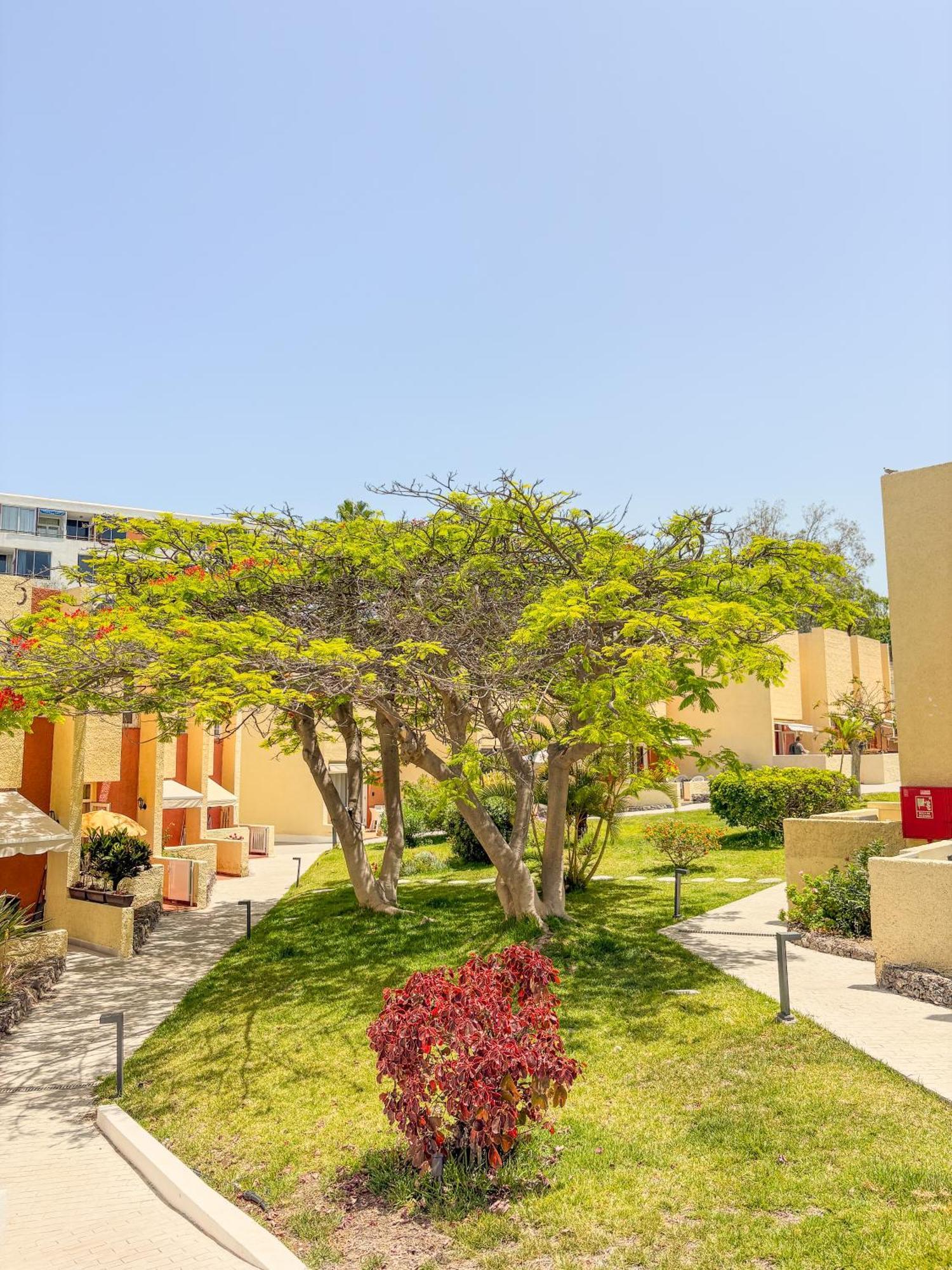 Holiday home Cortijo