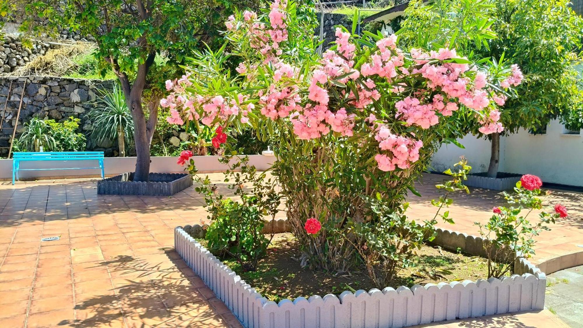 Duplex Sol Y Mar Apartamento *
