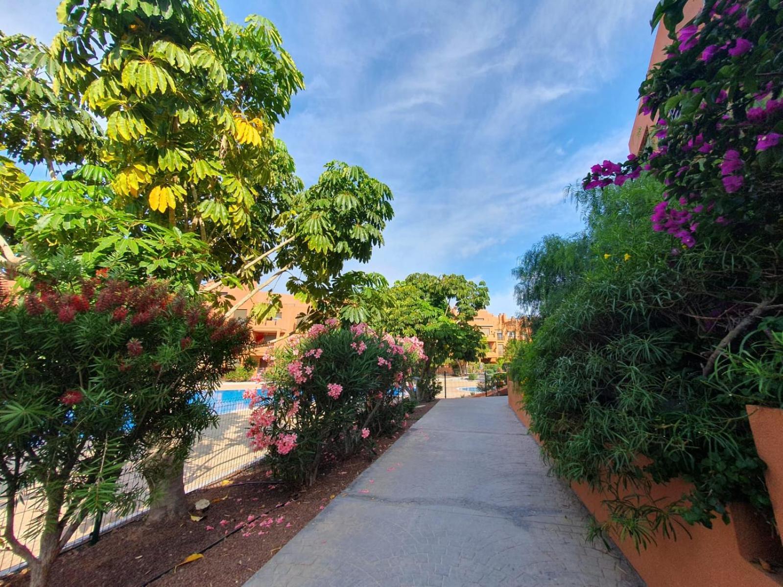 Apartamento Paraiso La Tejita, Terraza Y Piscina *
